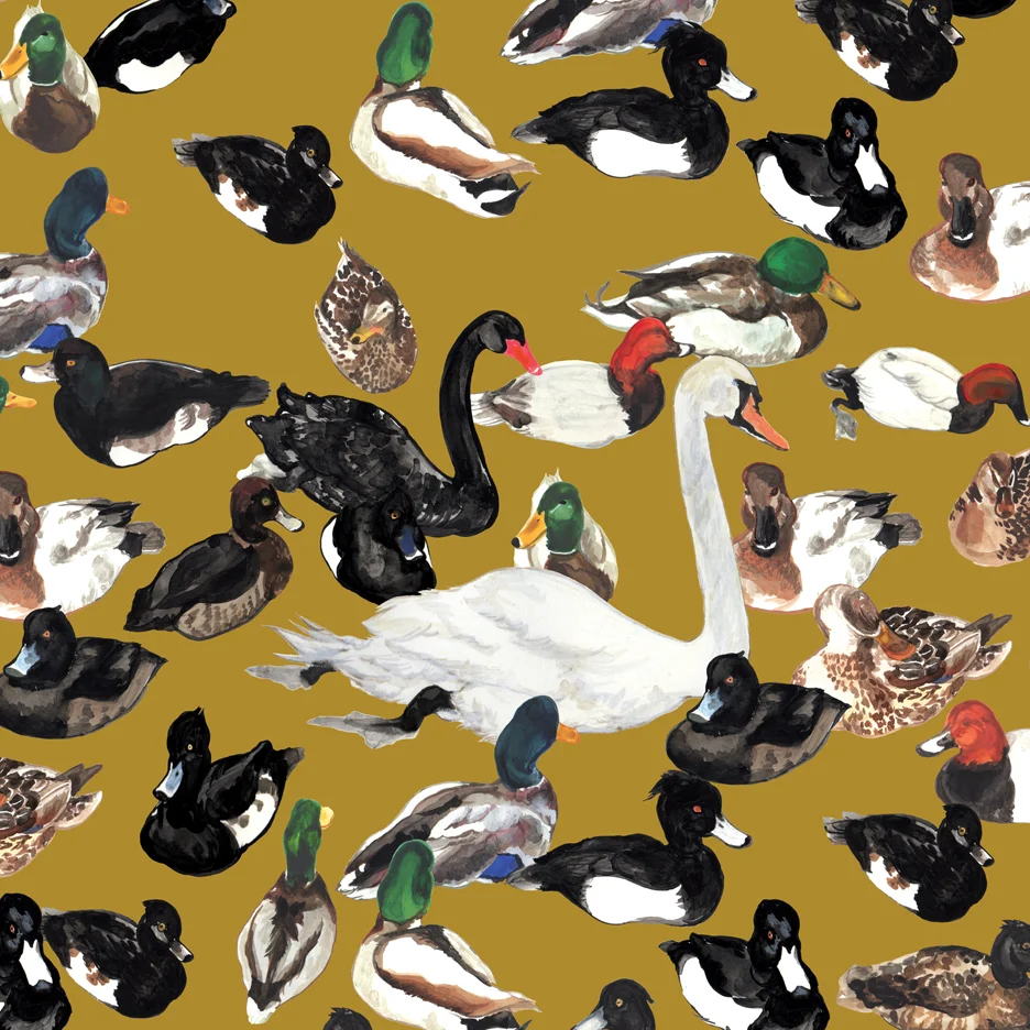 DucksOchre1.jpg
