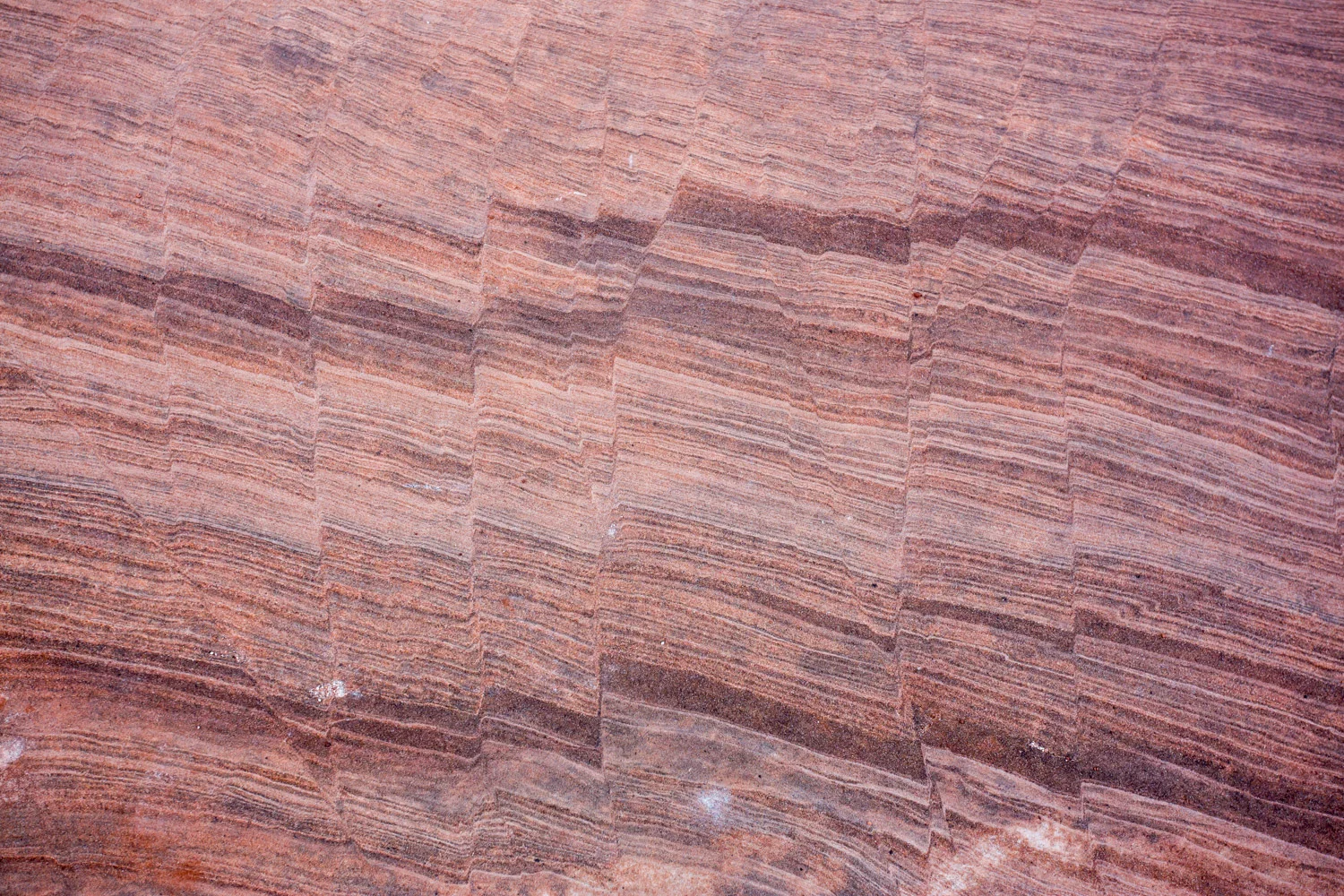 Rock Texture Arches NP-7081.jpeg