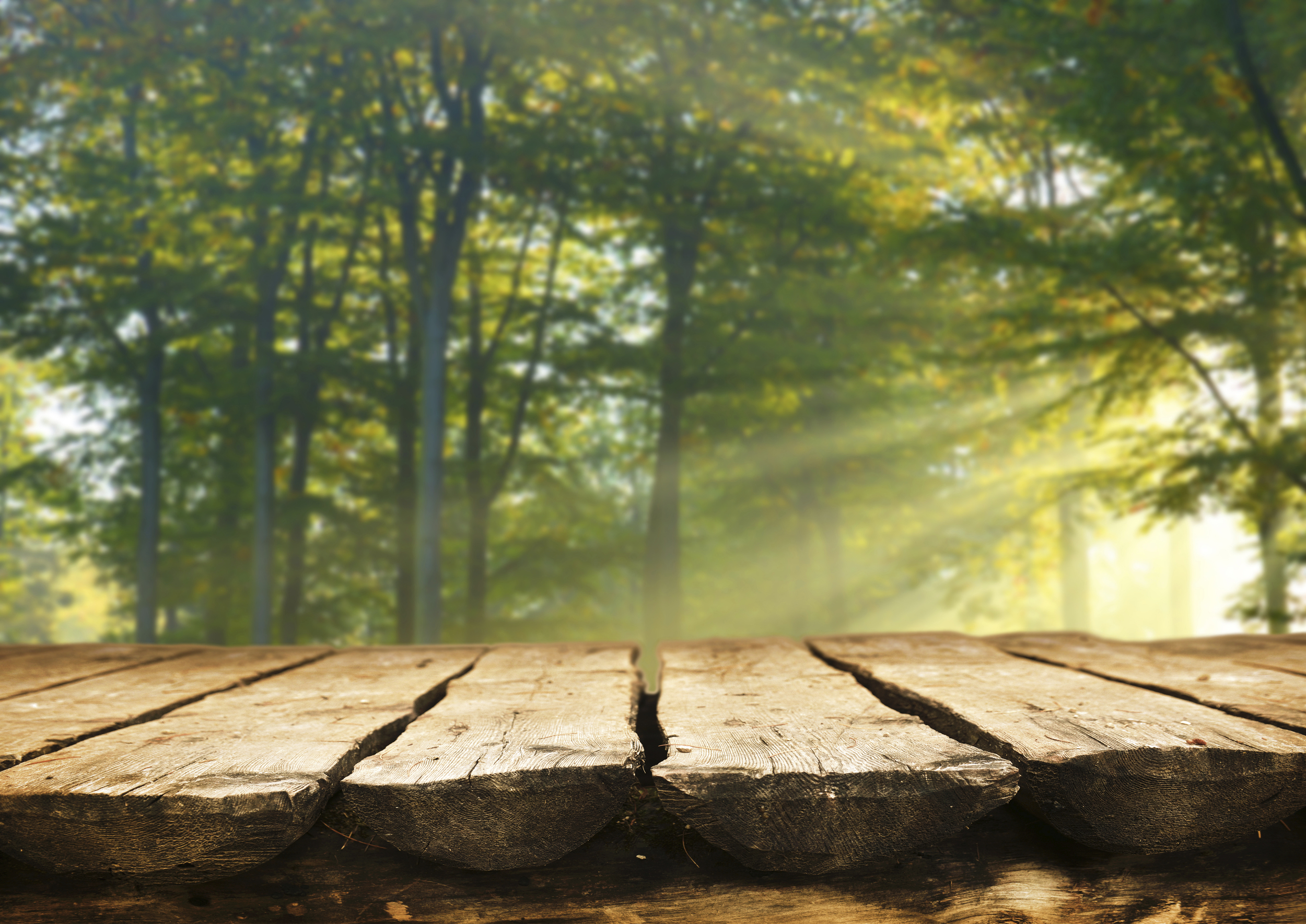 iStock_000046396438Large.jpg