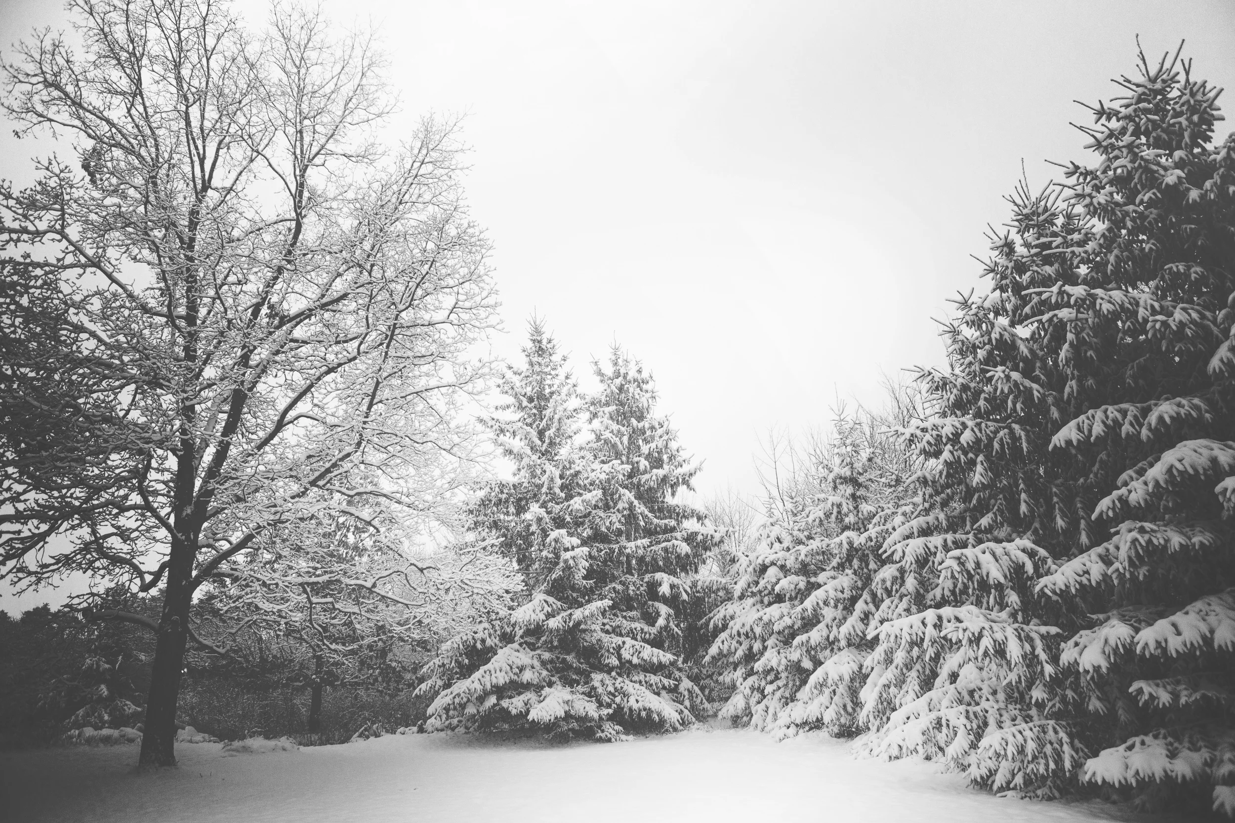 How Christmas Saved YOU?