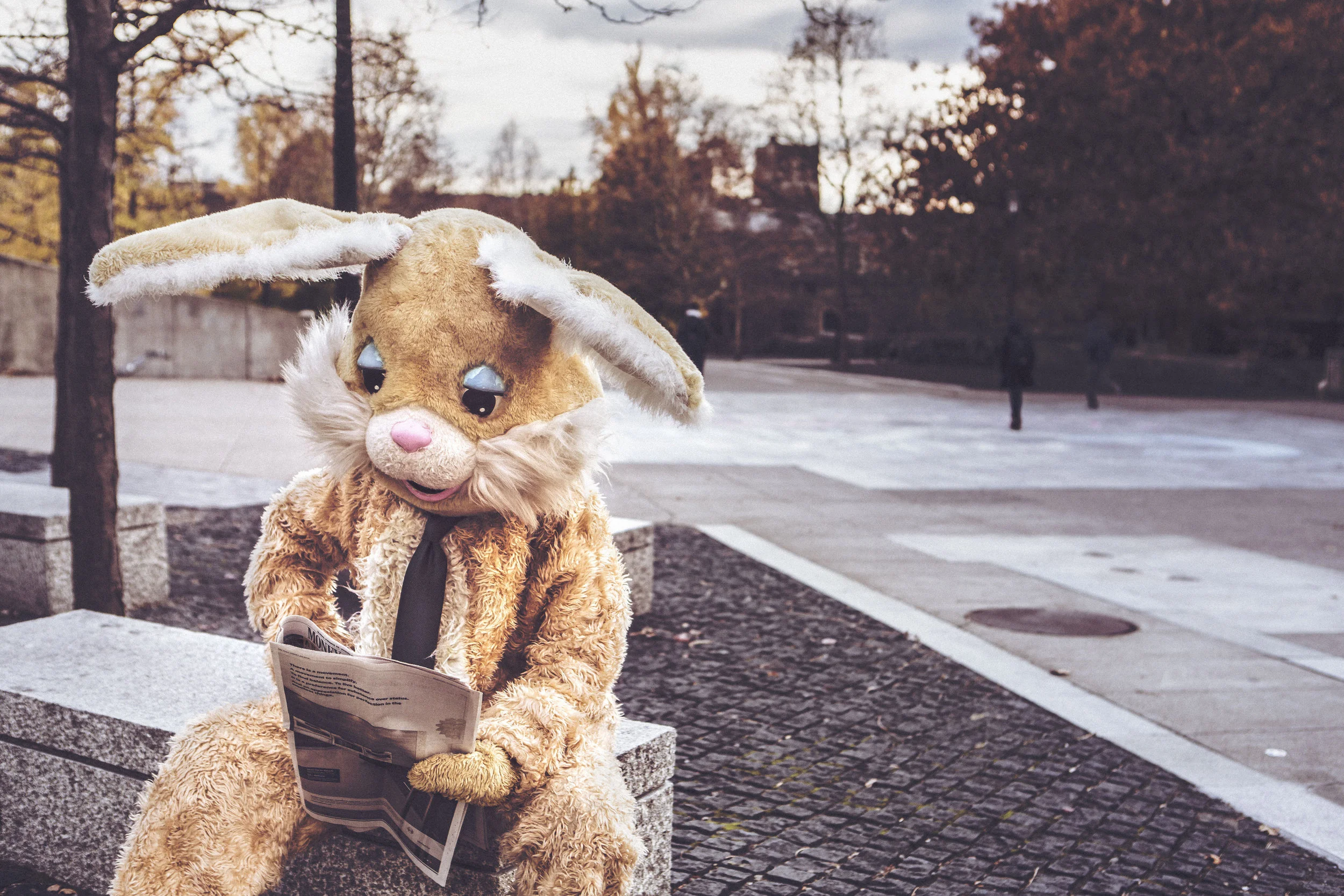 rabbit.jpg