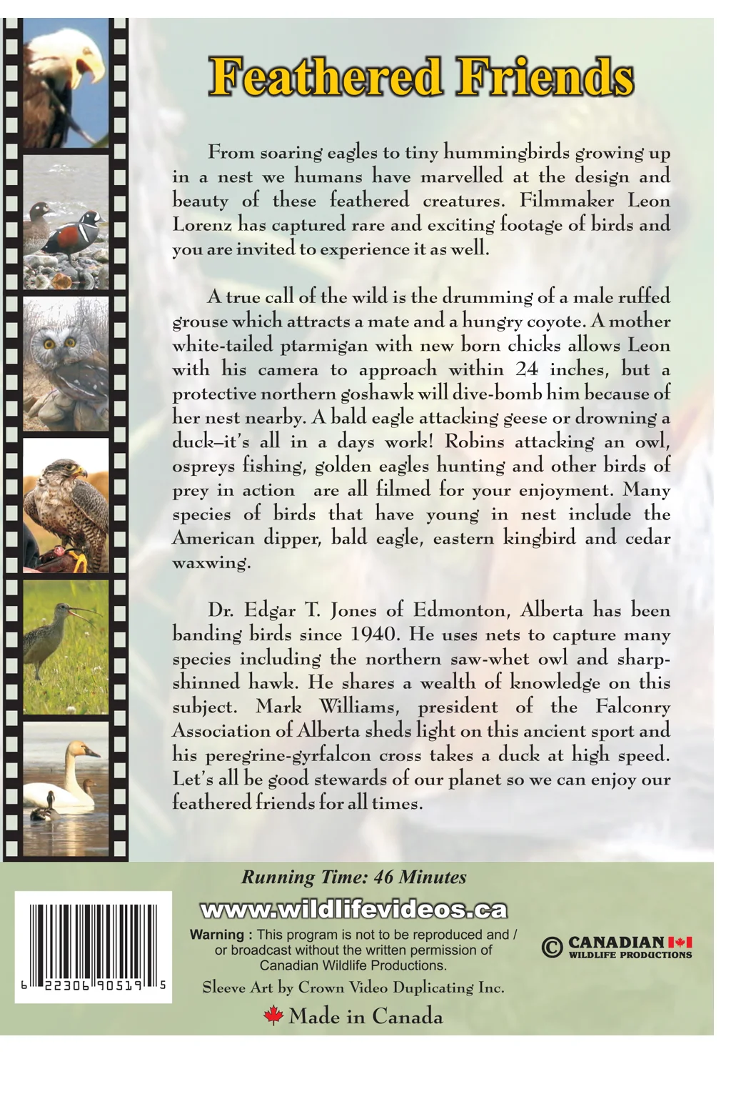 back-cover-feathered-friends-canadian-wildlife-productions-web.jpg