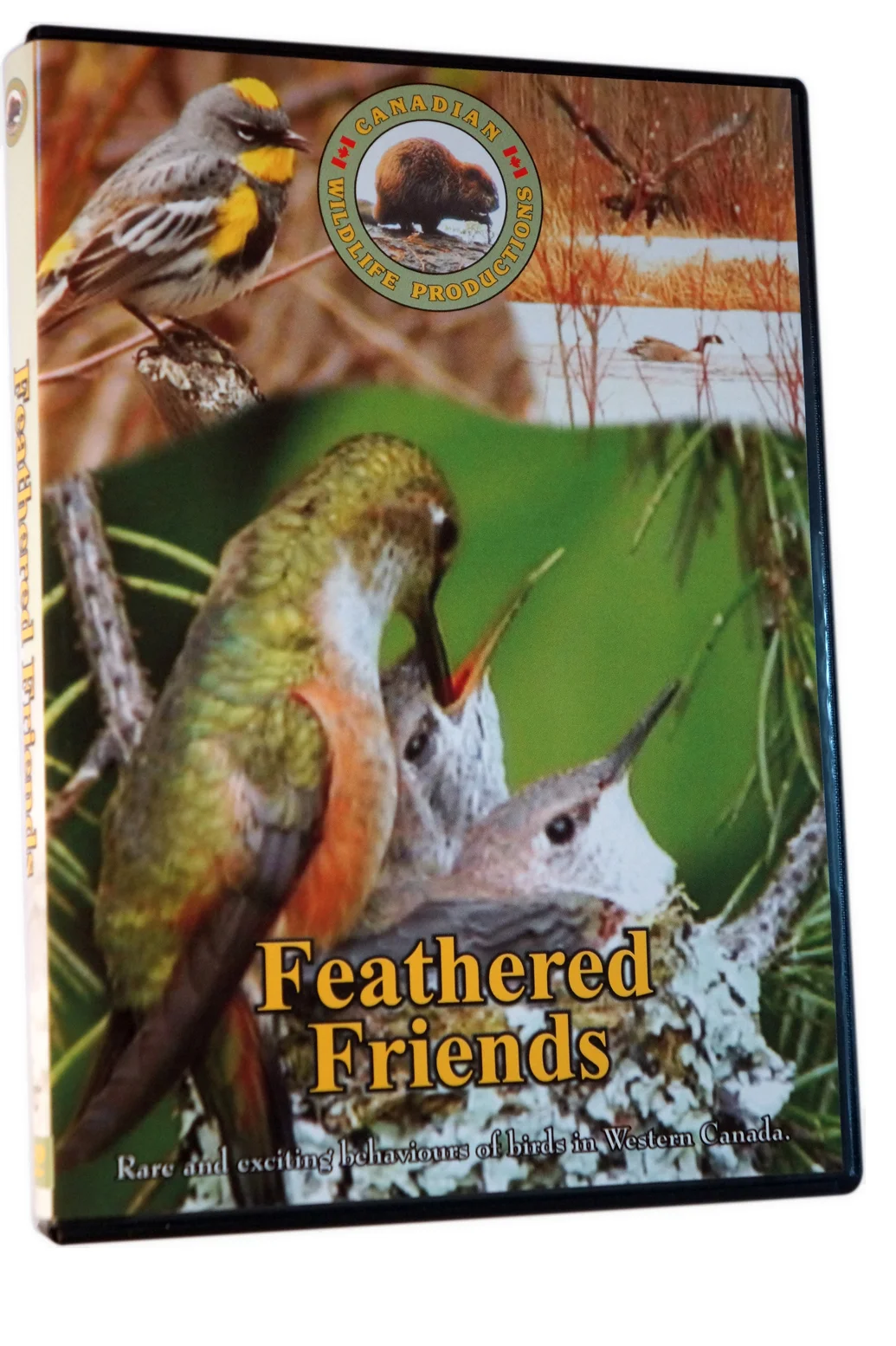 front-cover-feathered-friends-canadian-wildlife-productions-web.jpg