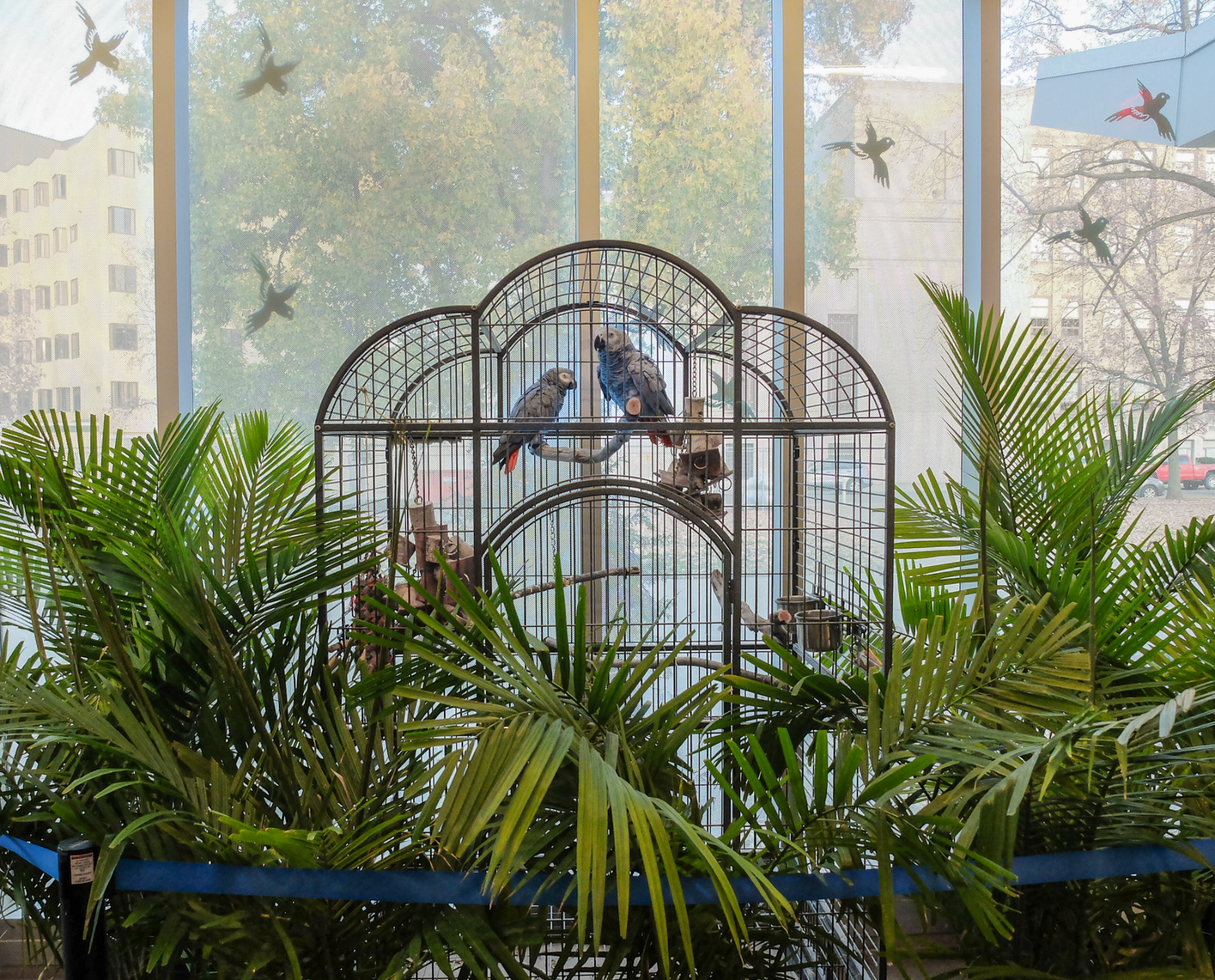 Aviary by Leo Hsu