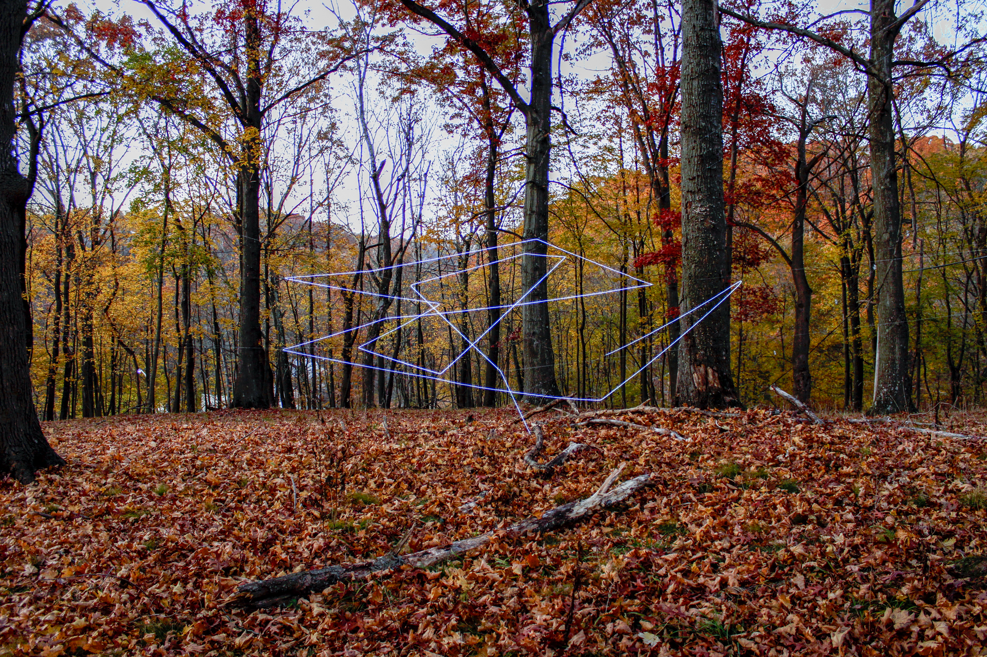 Rising, Gathering by Danny Bracken