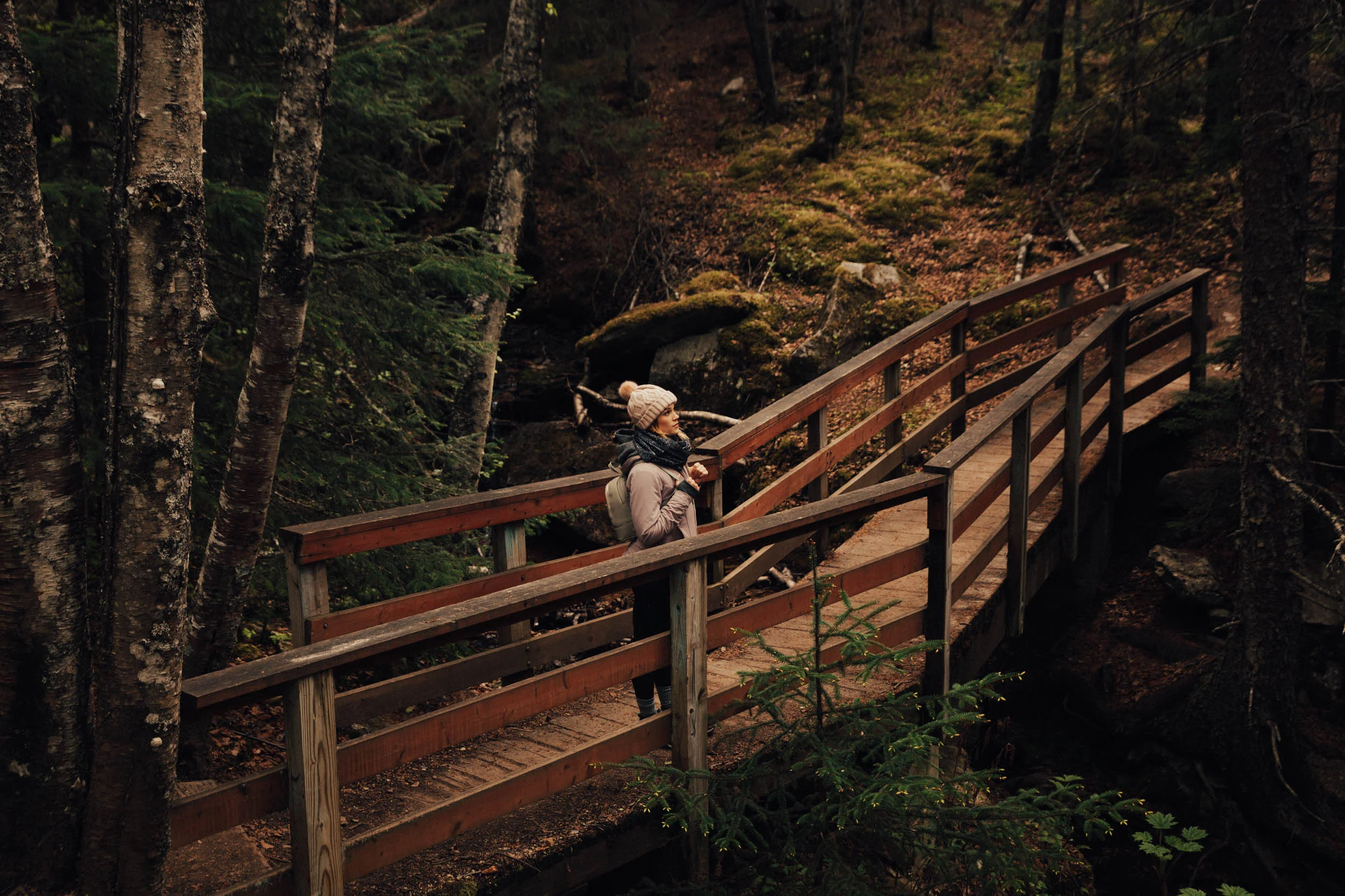 alaska-47.jpg