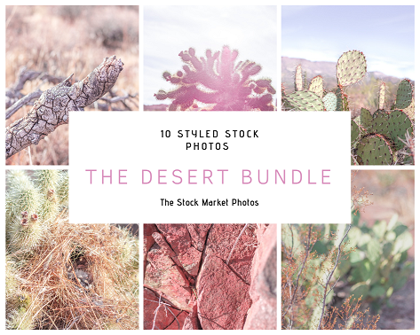 Desert Styled Stock Photo bundle.png