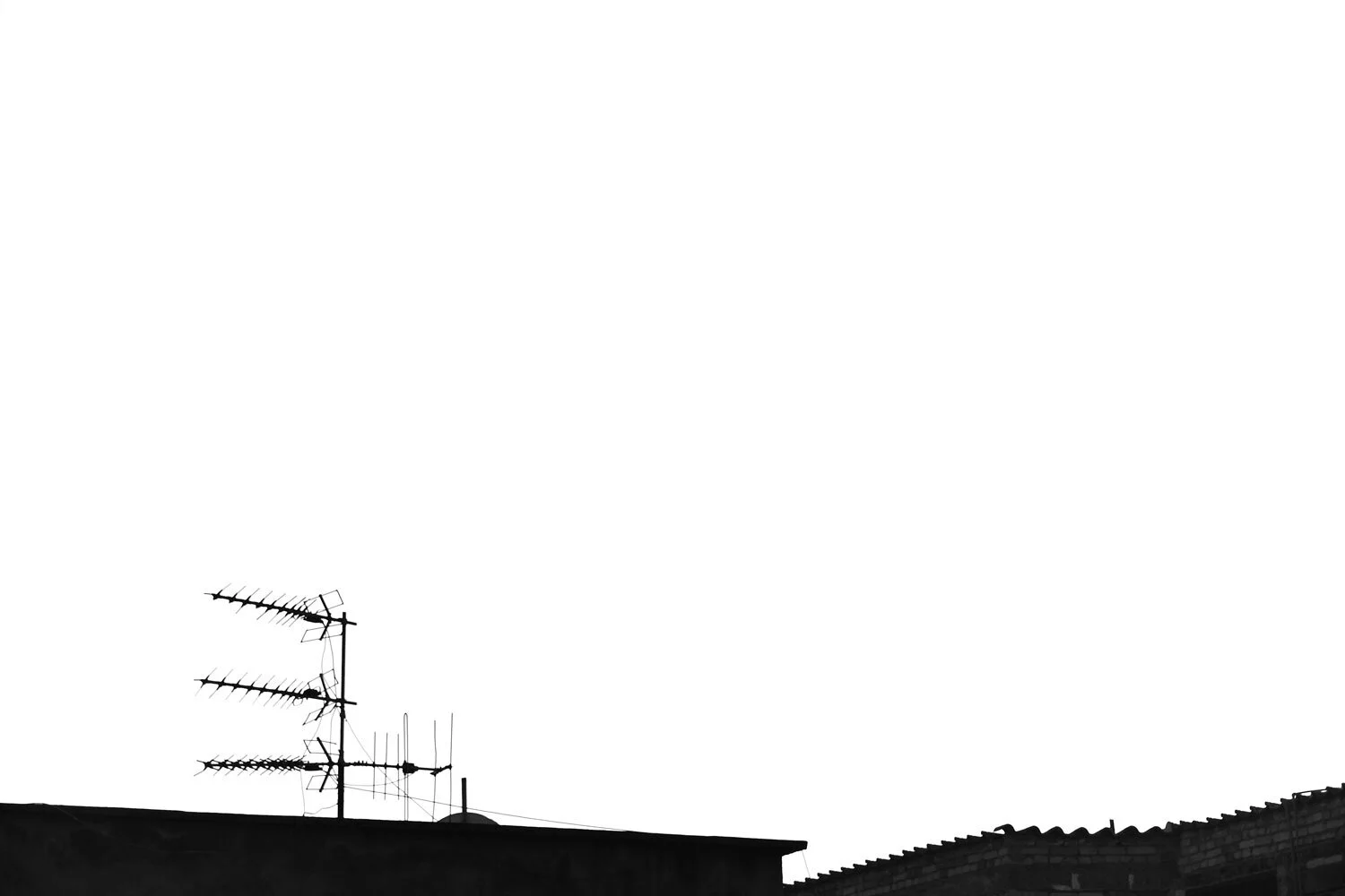  Tiranë, Albania, 2007. 