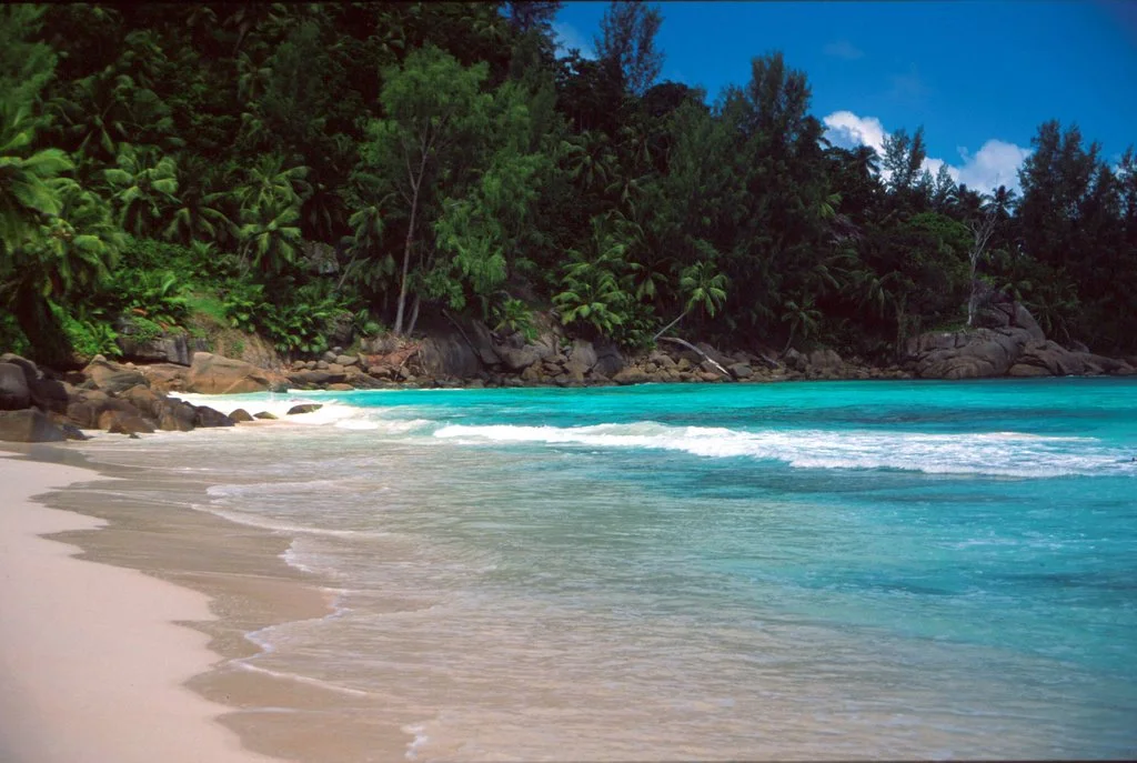 The real Anse La Liberte (it's almost as beautiful as Bay of Freedom!)