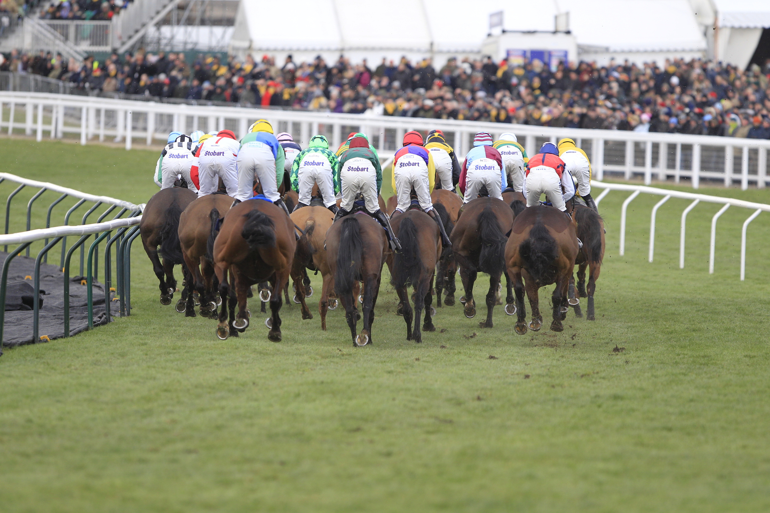 Cheltenham Festival