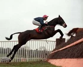 Dubacilla over fences