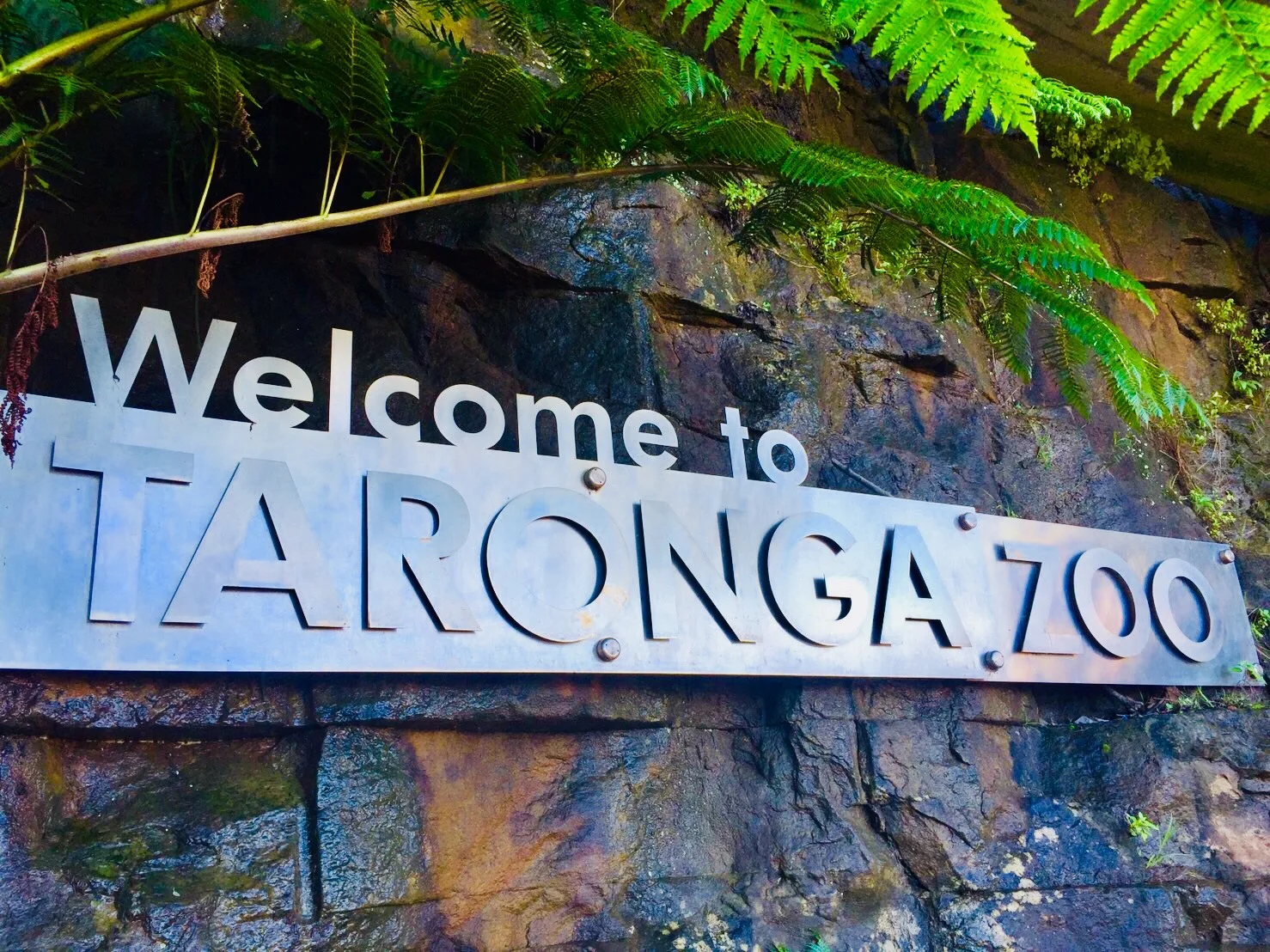 タロンガ動物園