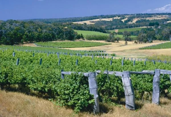 マーガレット・リバー/ バッセルトンジェティ/ ケープルーインの灯台 巡りツアー (英語ツアー)