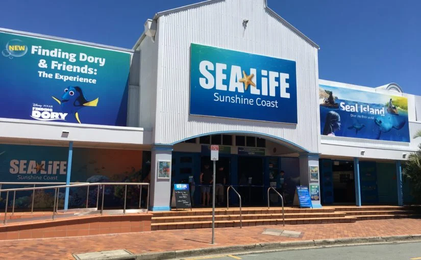 SEA LIFE SUNSHINE COAST