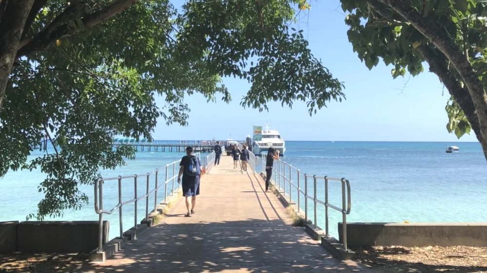 グリーン島とアウターリーフで過ごすグレートバリアリーフ1日満喫ツアー Tci Sydney