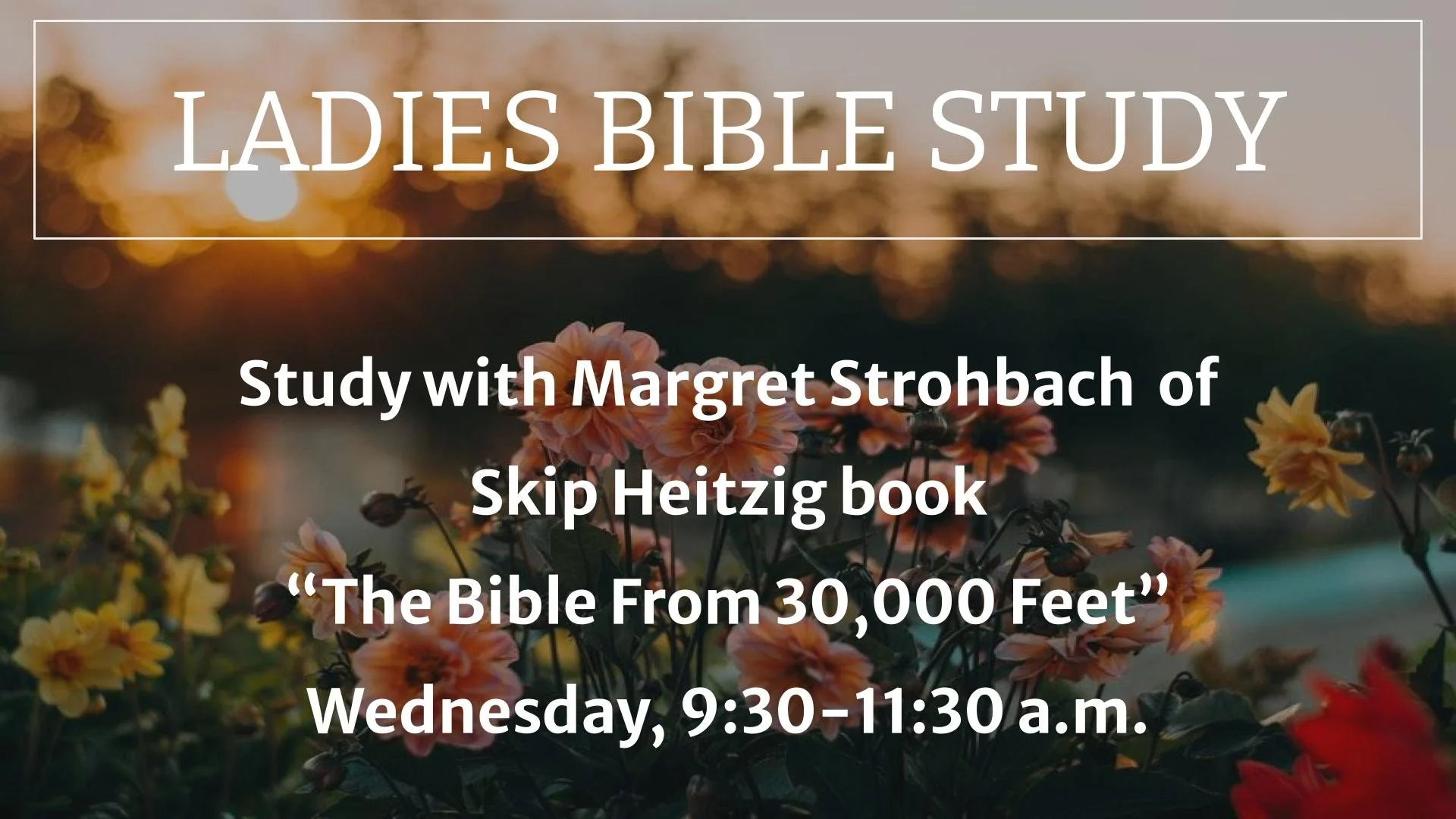 Ladies Bible Studies - Wed am.jpg