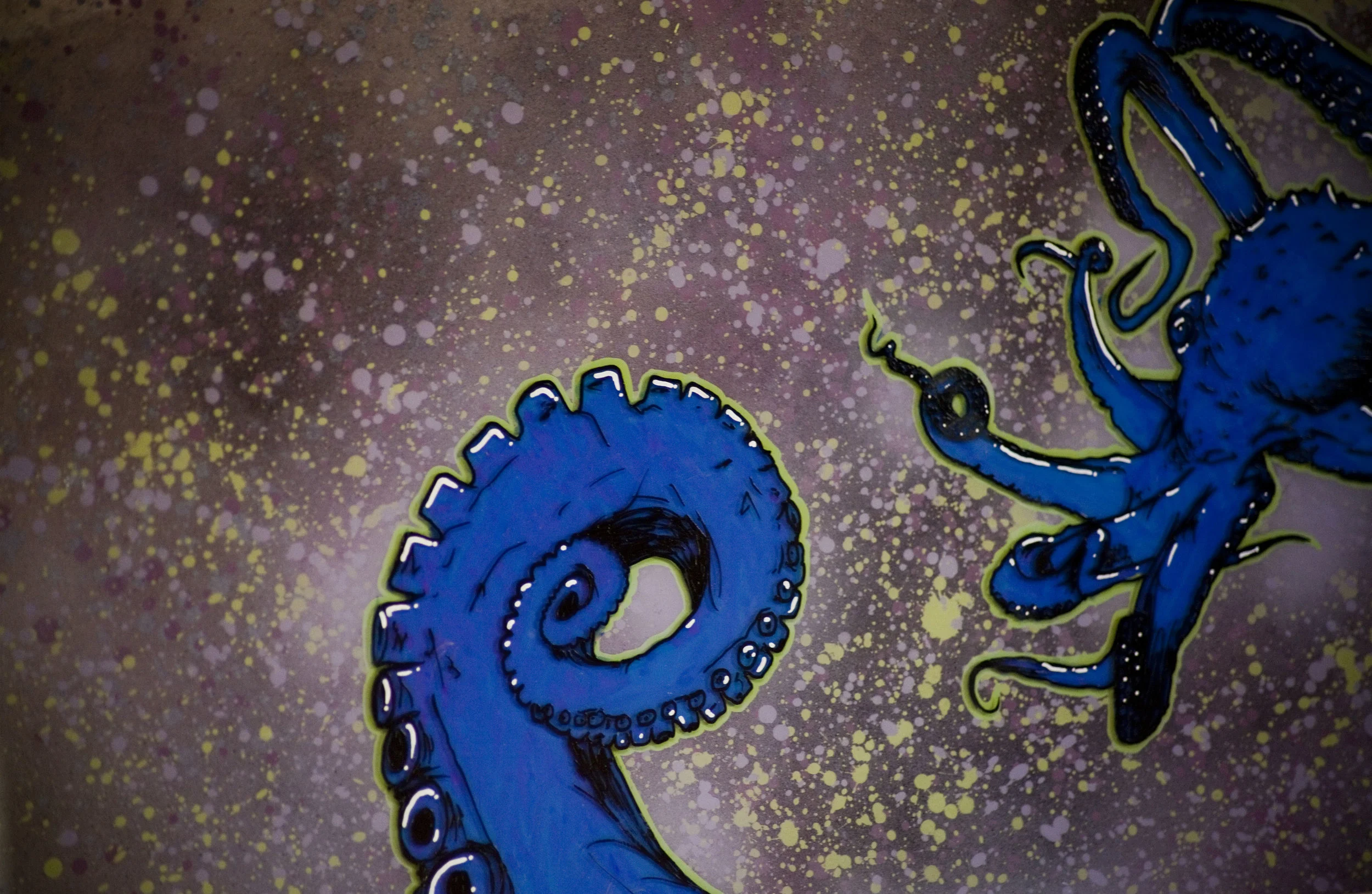 octopus2.jpg