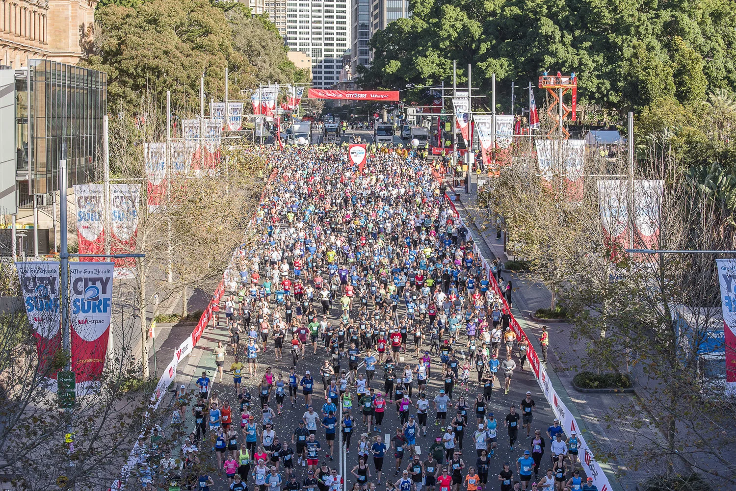 City to Surf Image.jpg