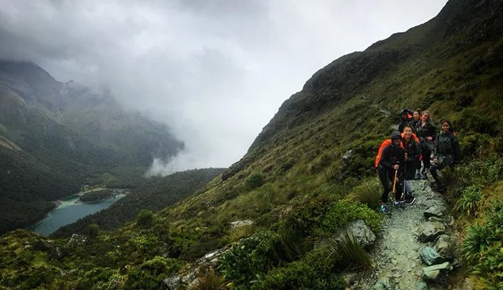 NZ.jpg