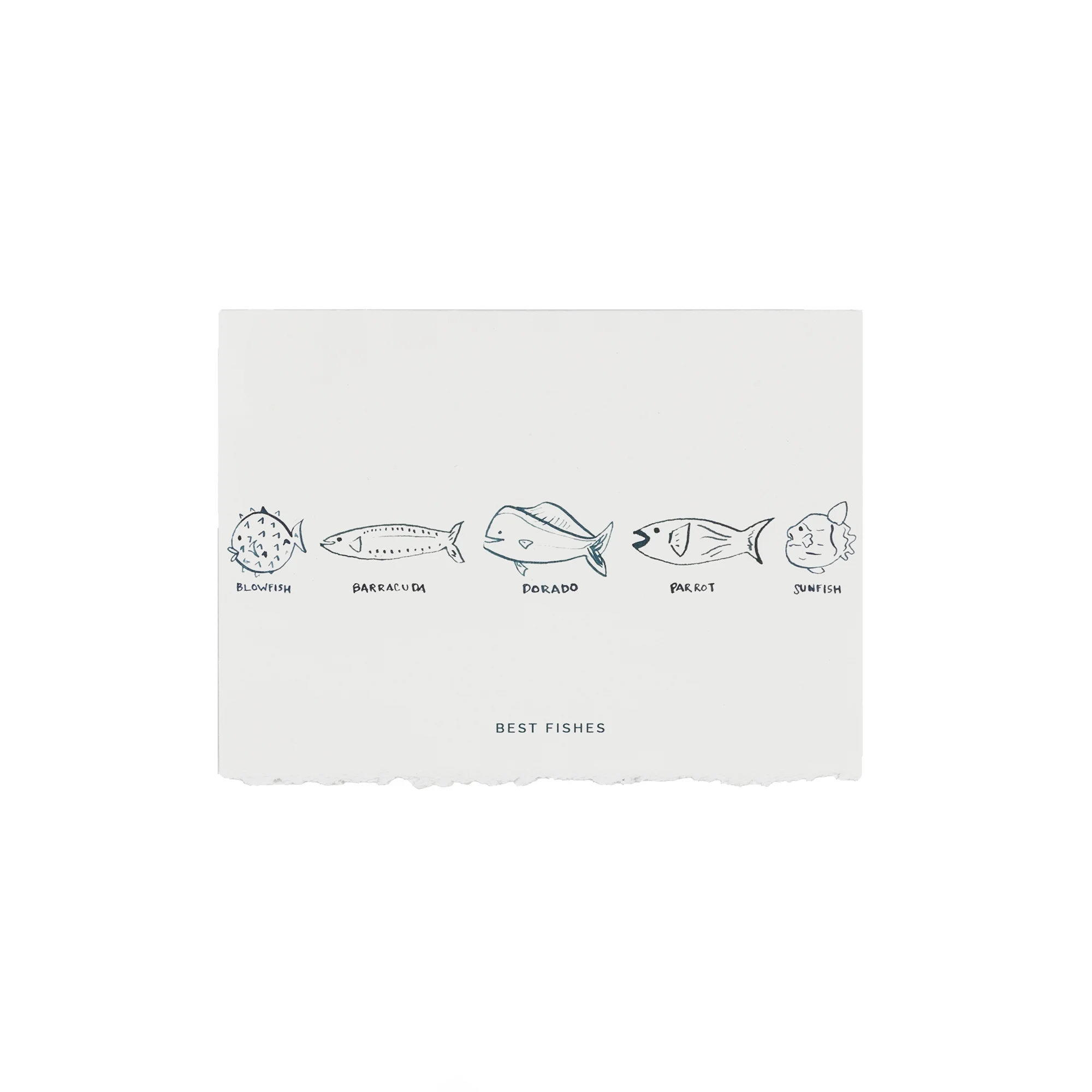 Medium-Fish-18.jpg