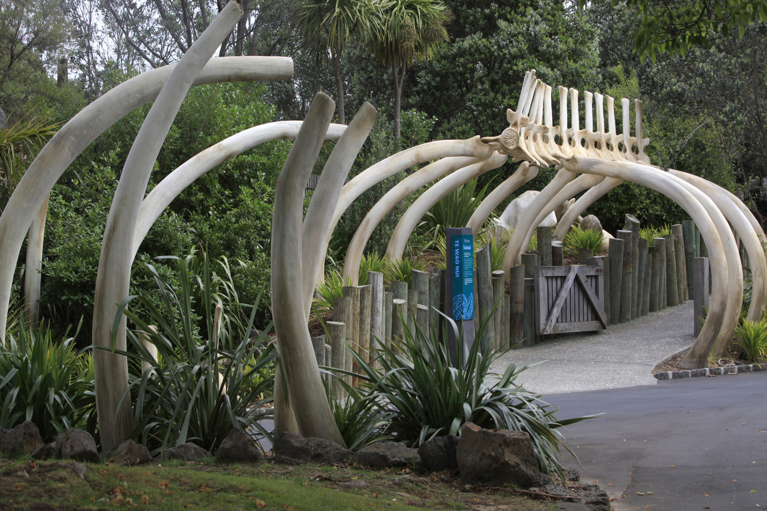  Motherworks - Auckland Zoo 