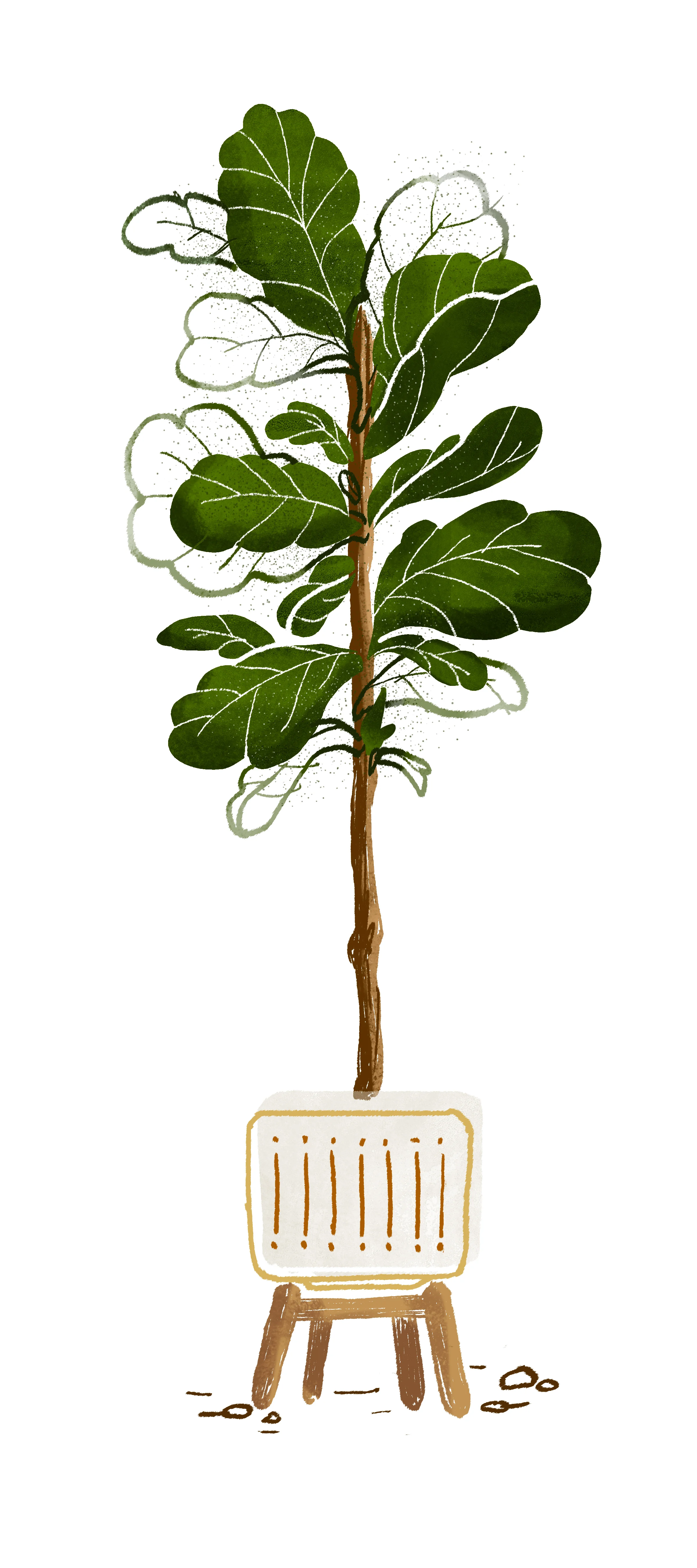 FLF2.jpg