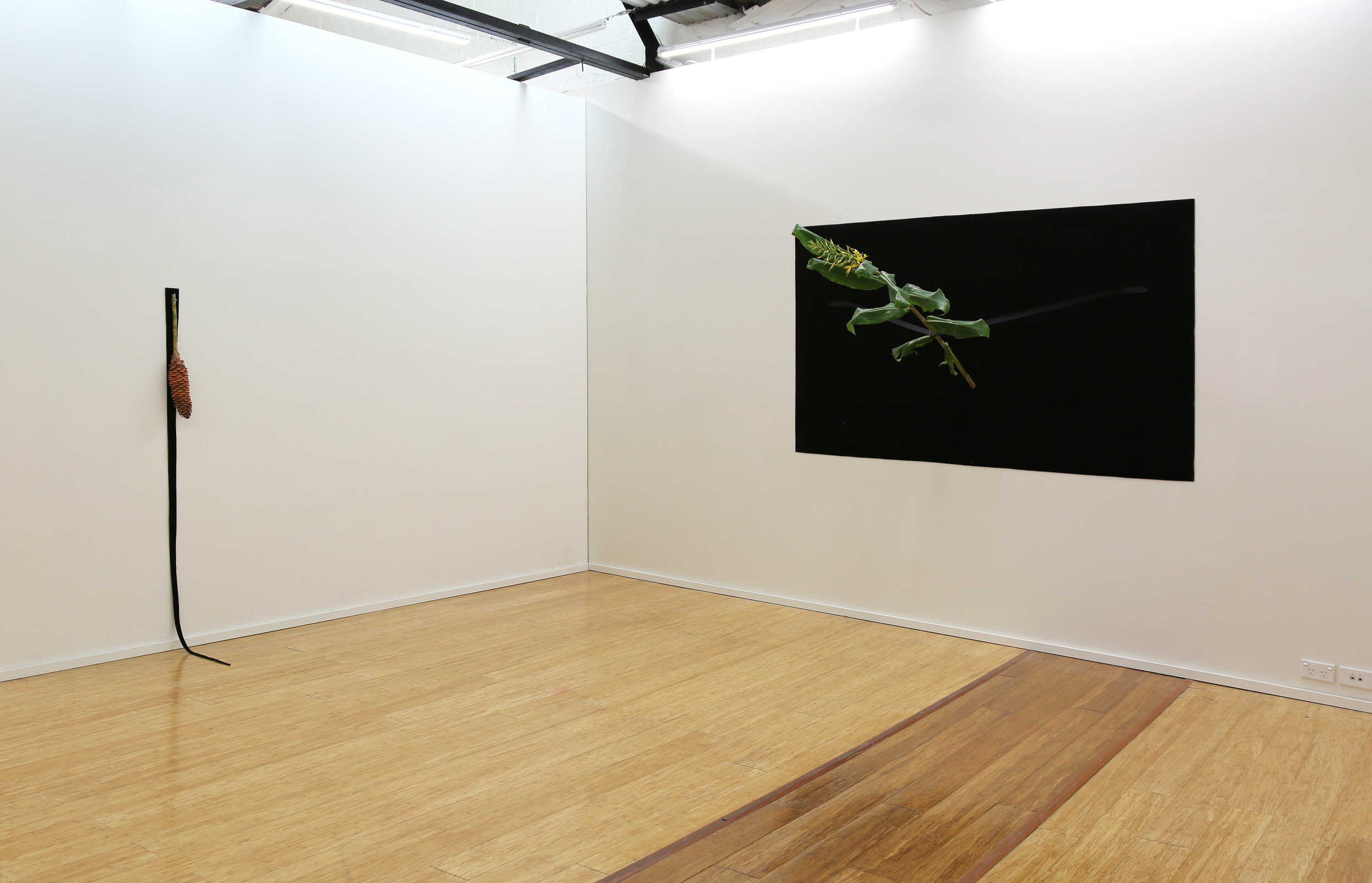 install shot.jpg