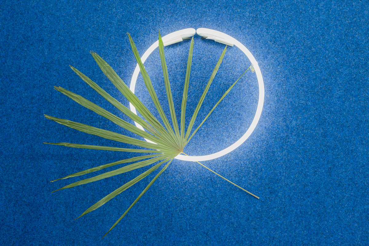 On the turning point of becoming and returning , 2016, Broken safety glass, rock, palm, carpet, neon, pressed palm, cock ring, Velcro, large palm, ipad, video from Blue Hawaii (1961), safety glass, rock, leaf. Photography: Docqument