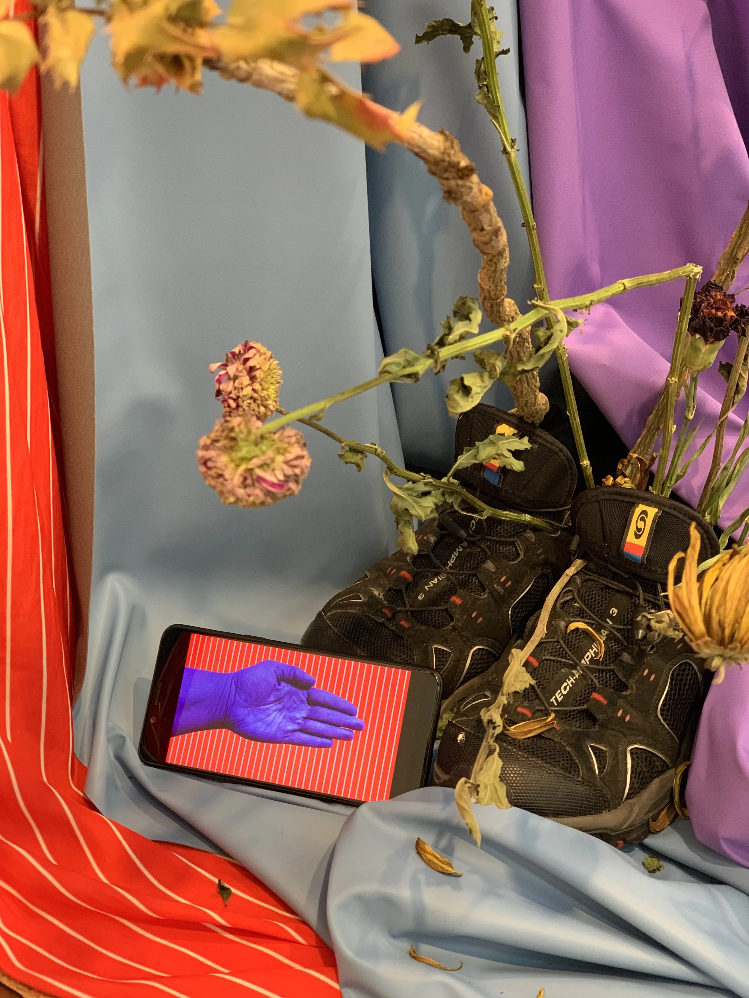 A misunderstanding of what it means to be tender , 2018, Fabric, flowers (chrysanthemum, carnation, holly), leather, whip, shoes, nipple tassel, kenzan, flower net, sansevieria cylindrica, small phone screen playing video of the same title, tv monitor playing video of same title. Commissioned by Move Arts Japan for exhibition at 3331 Arts Chiyoda Gallery, Tokyo, Japan.