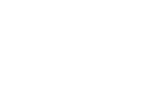 skyyLogo.png