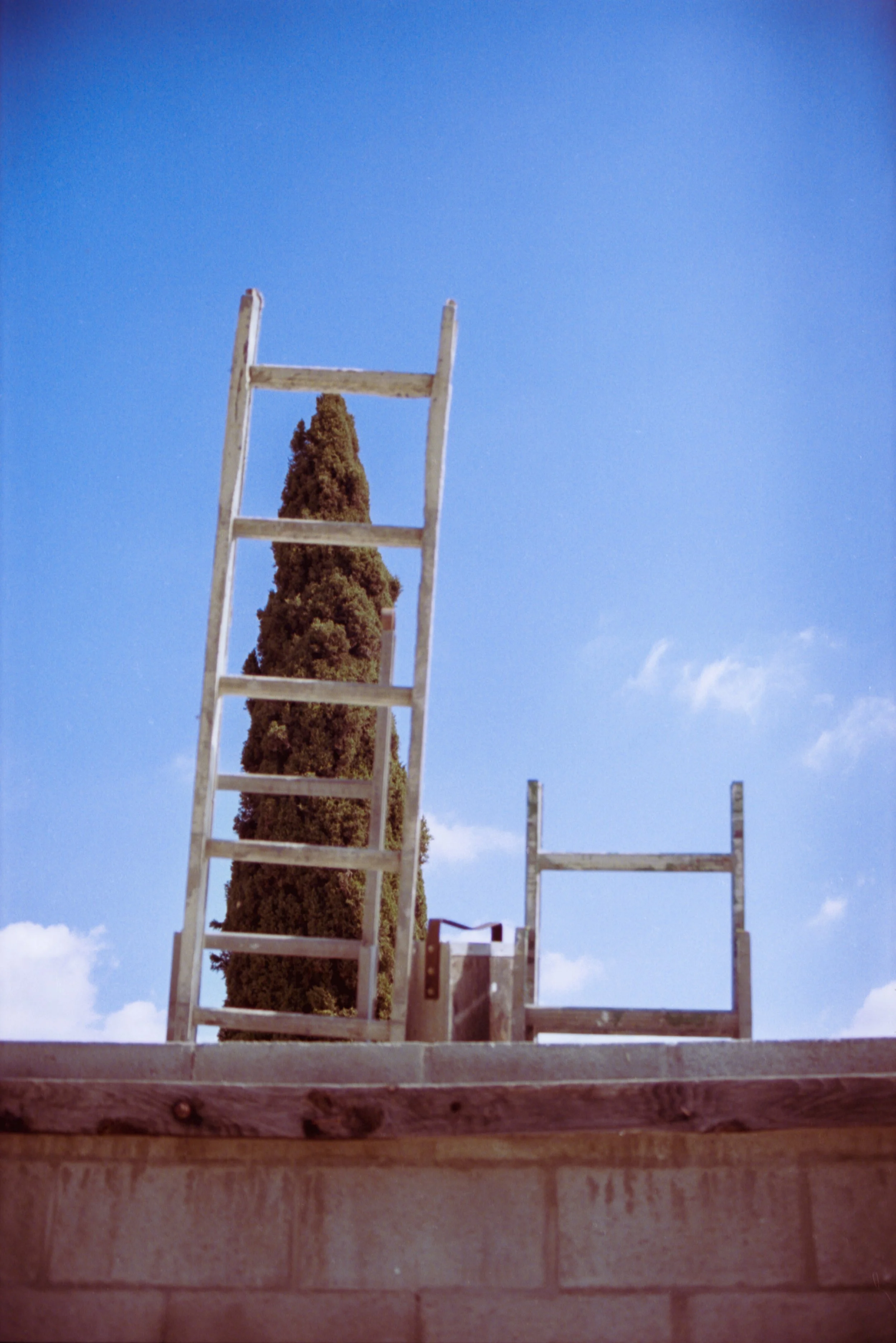 2025-08-14-0011.jpg