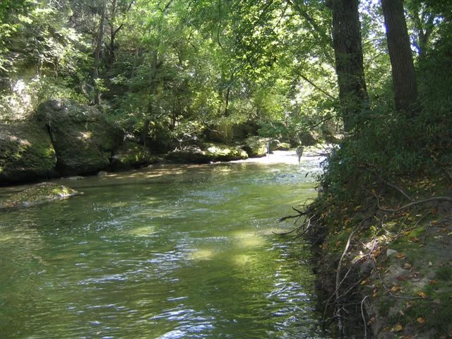 PF Creek2.JPG
