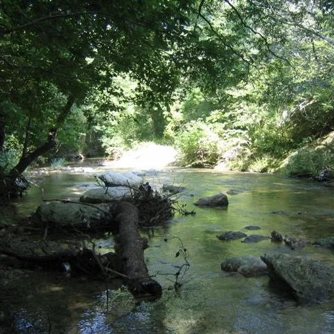 PF Creek3.JPG