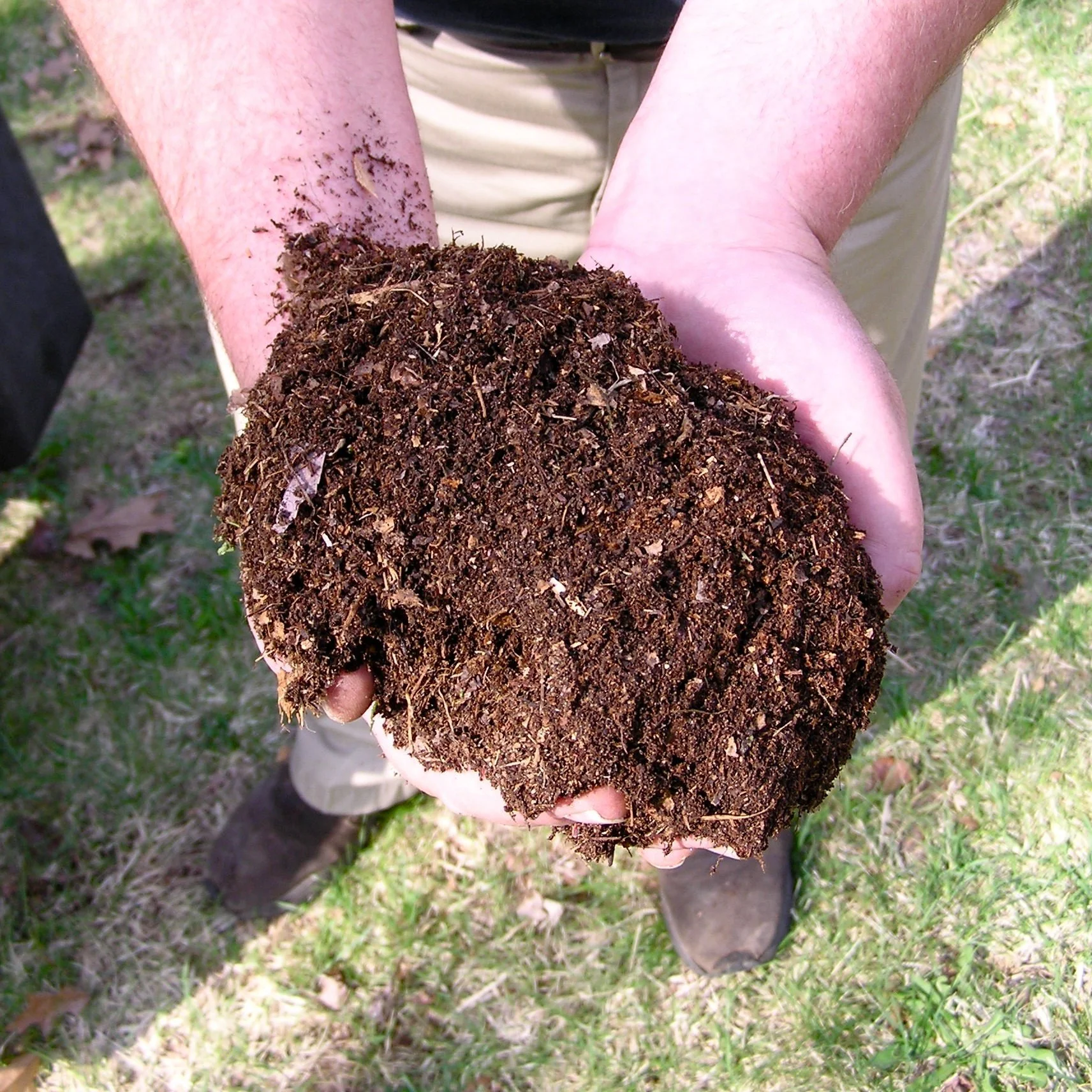 Class: Composting Basics