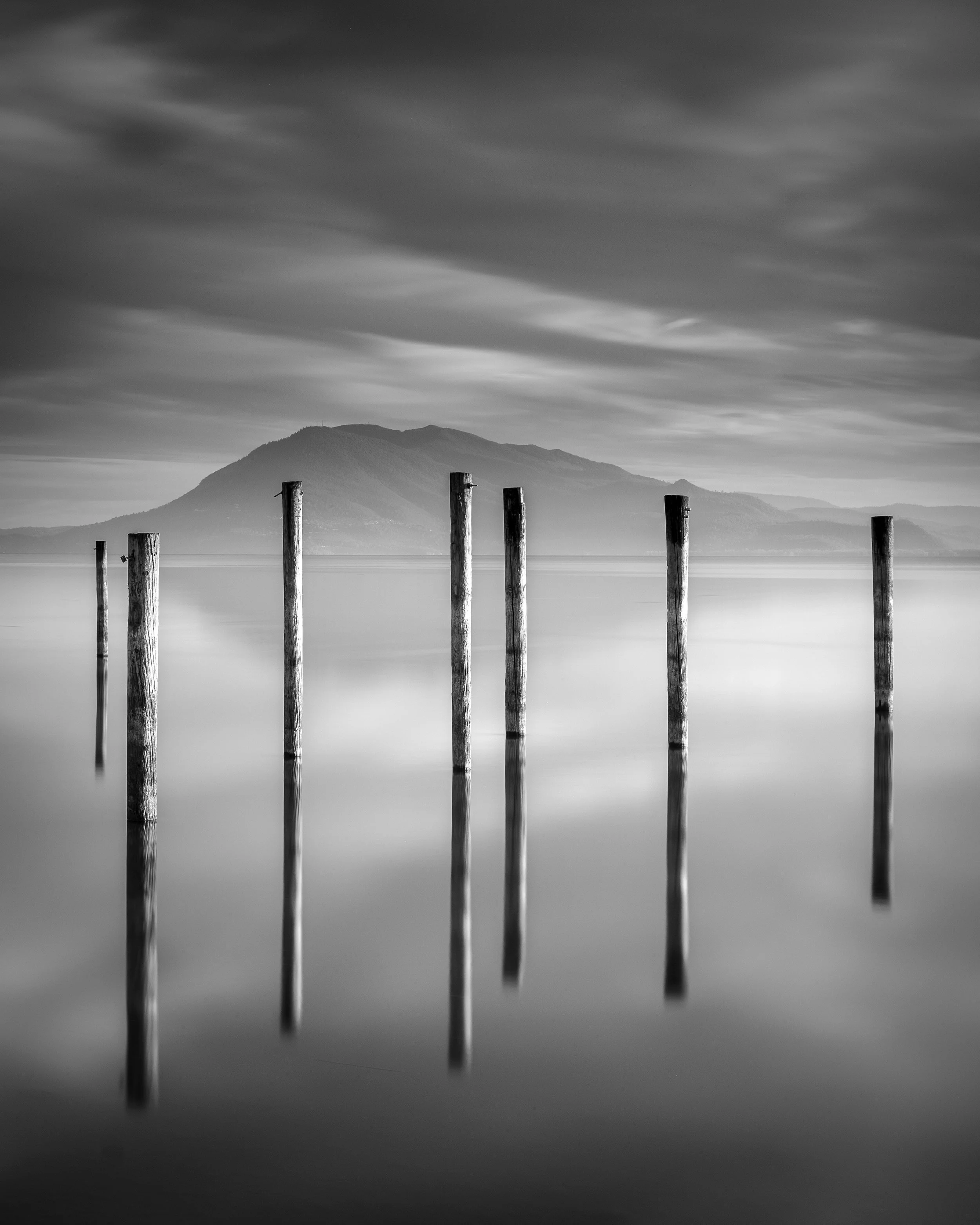 Sentinels at the Lake