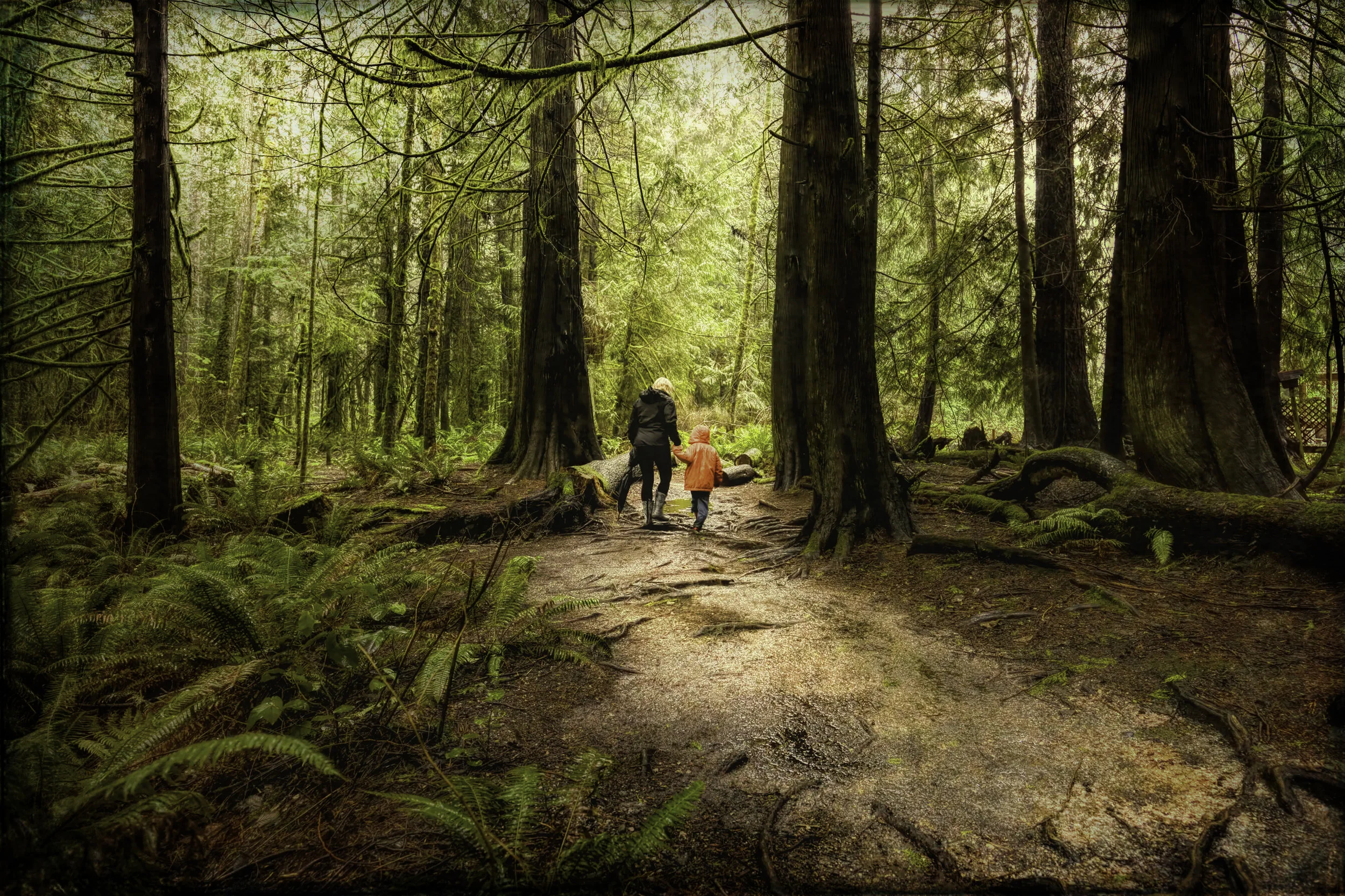 Follow the trail..jpg