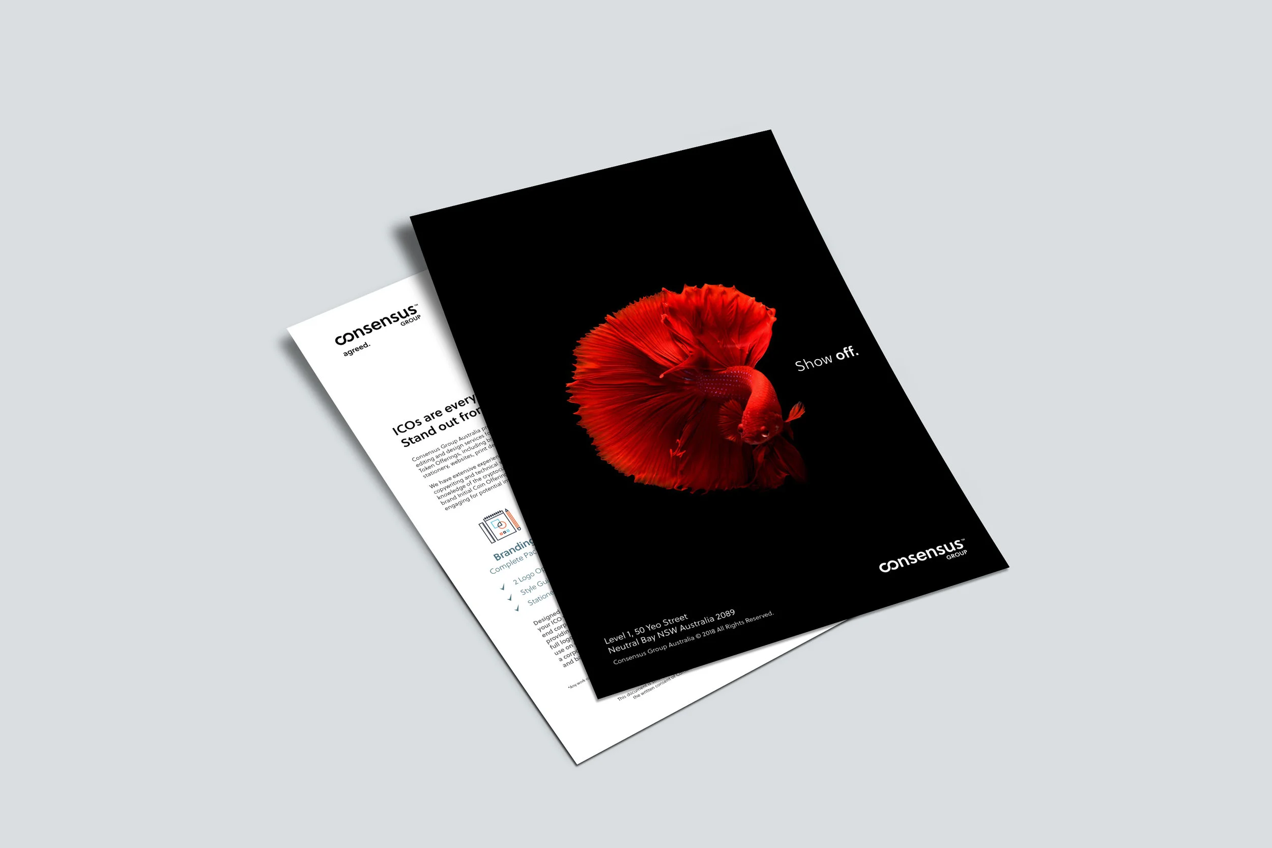 Consensus Flyers1.jpg