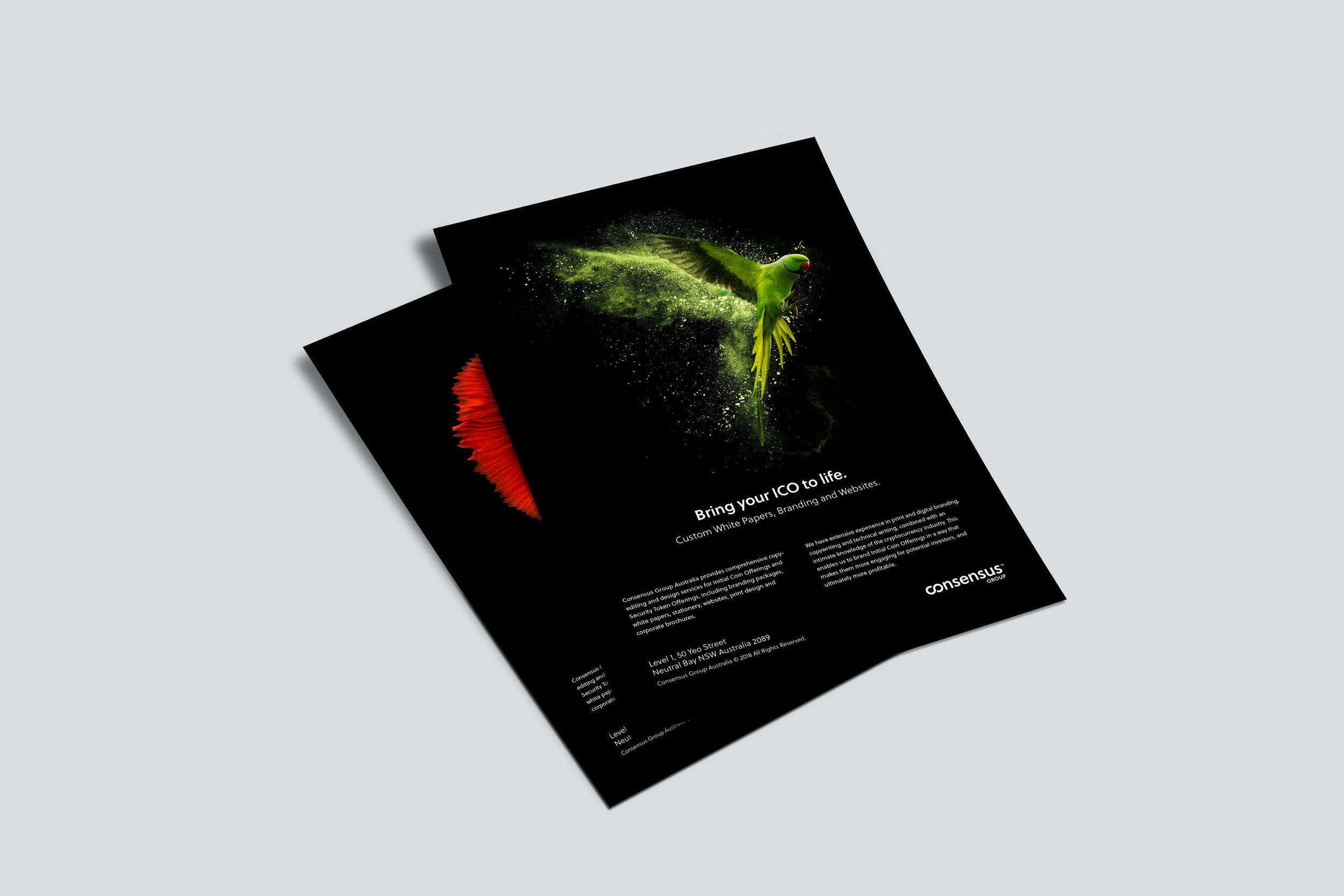 Consensus Flyers2.jpg