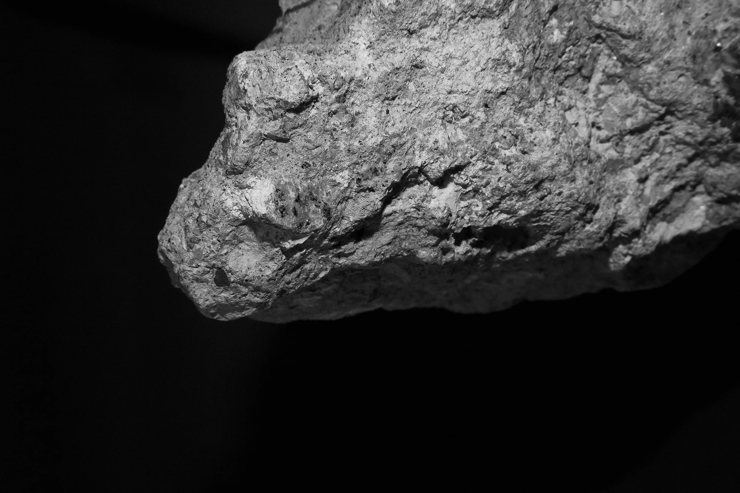 _MG_7400 copy.jpg