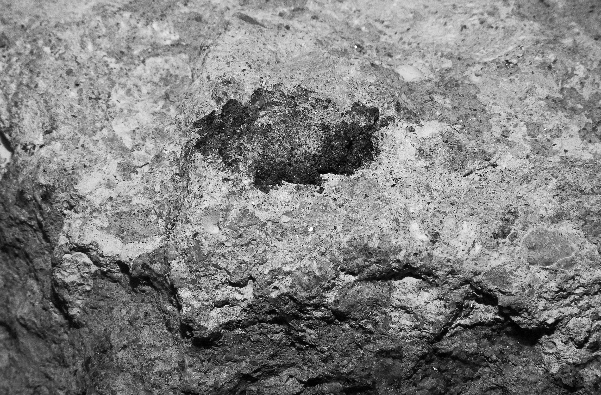 _MG_7407 copy.jpg