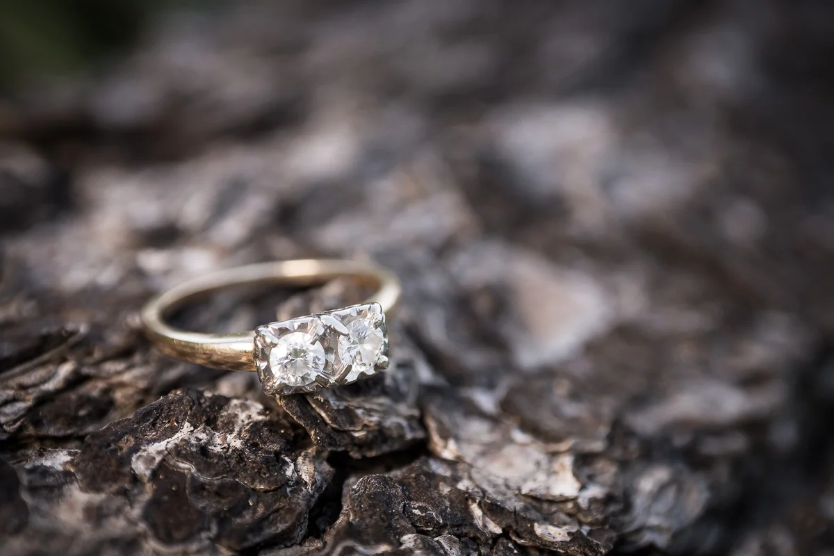 michigan-wedding-photographer-chad-wu-heritage-park-photos-18.jpg