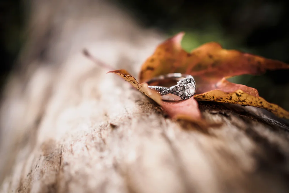 detroit-michigan-wedding-photography-chad-wu-5.jpg