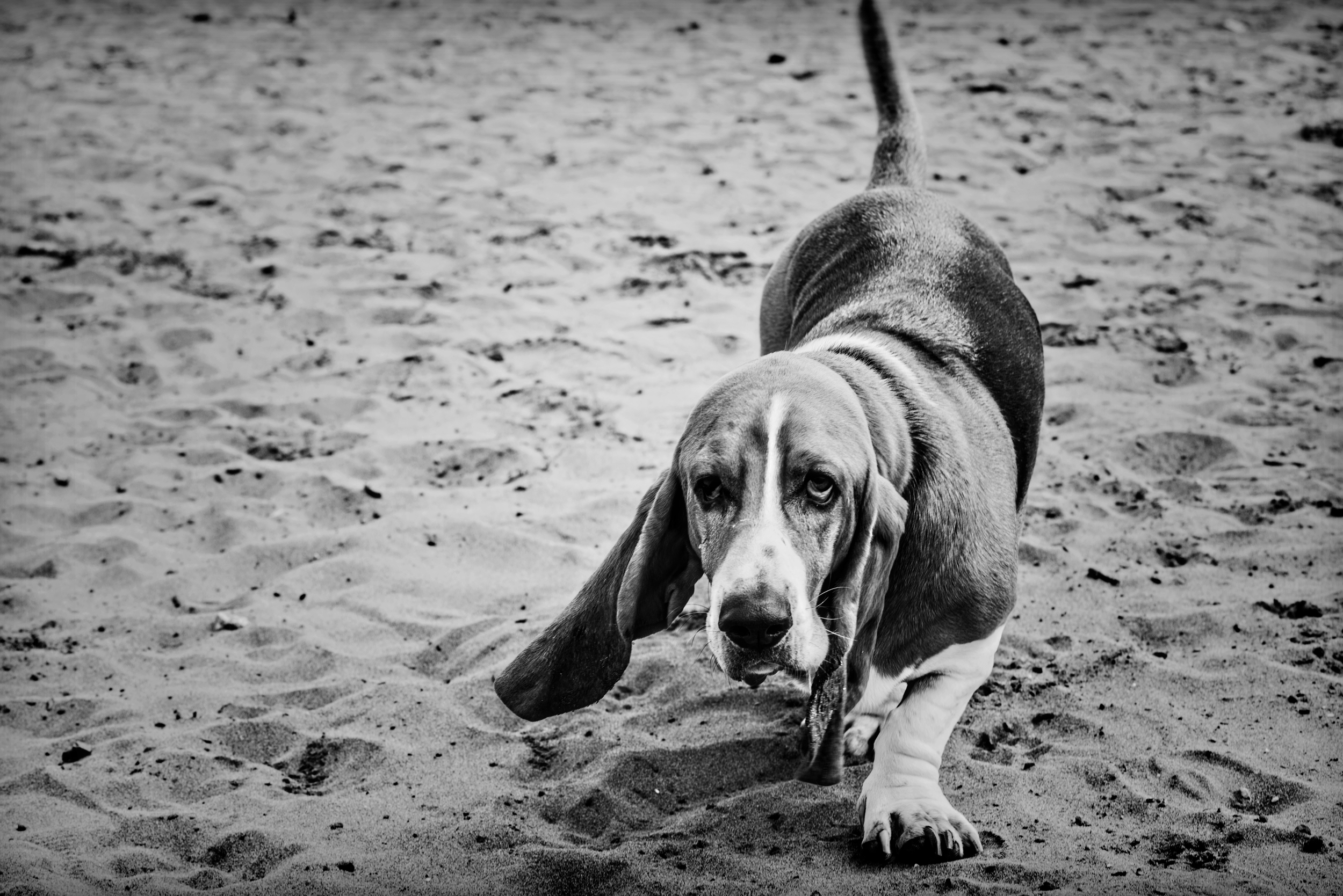 DSC_5355.jpg