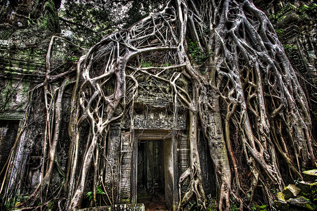 Where Nature and Man Colide.jpg
