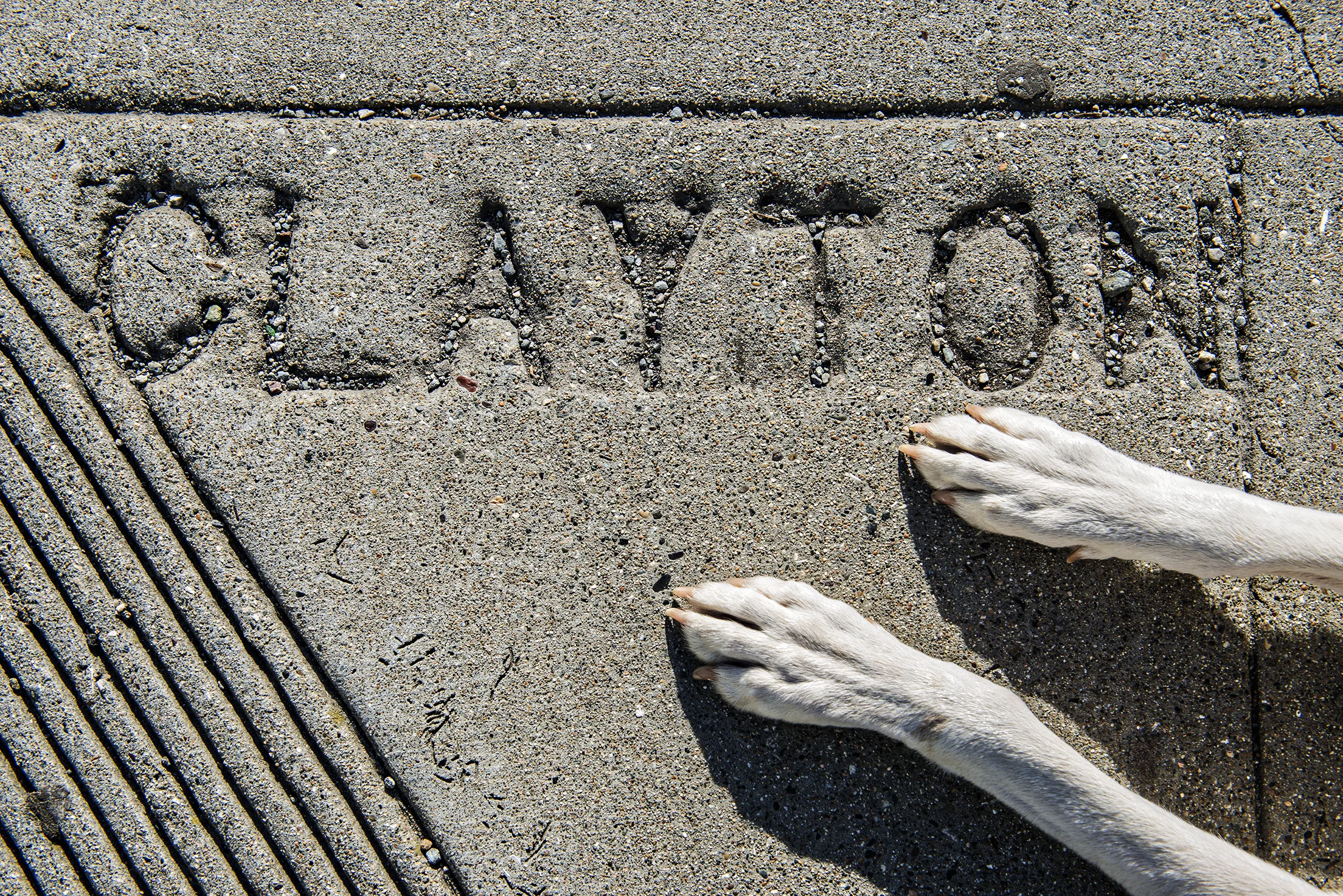 The Clayton Project2.jpg