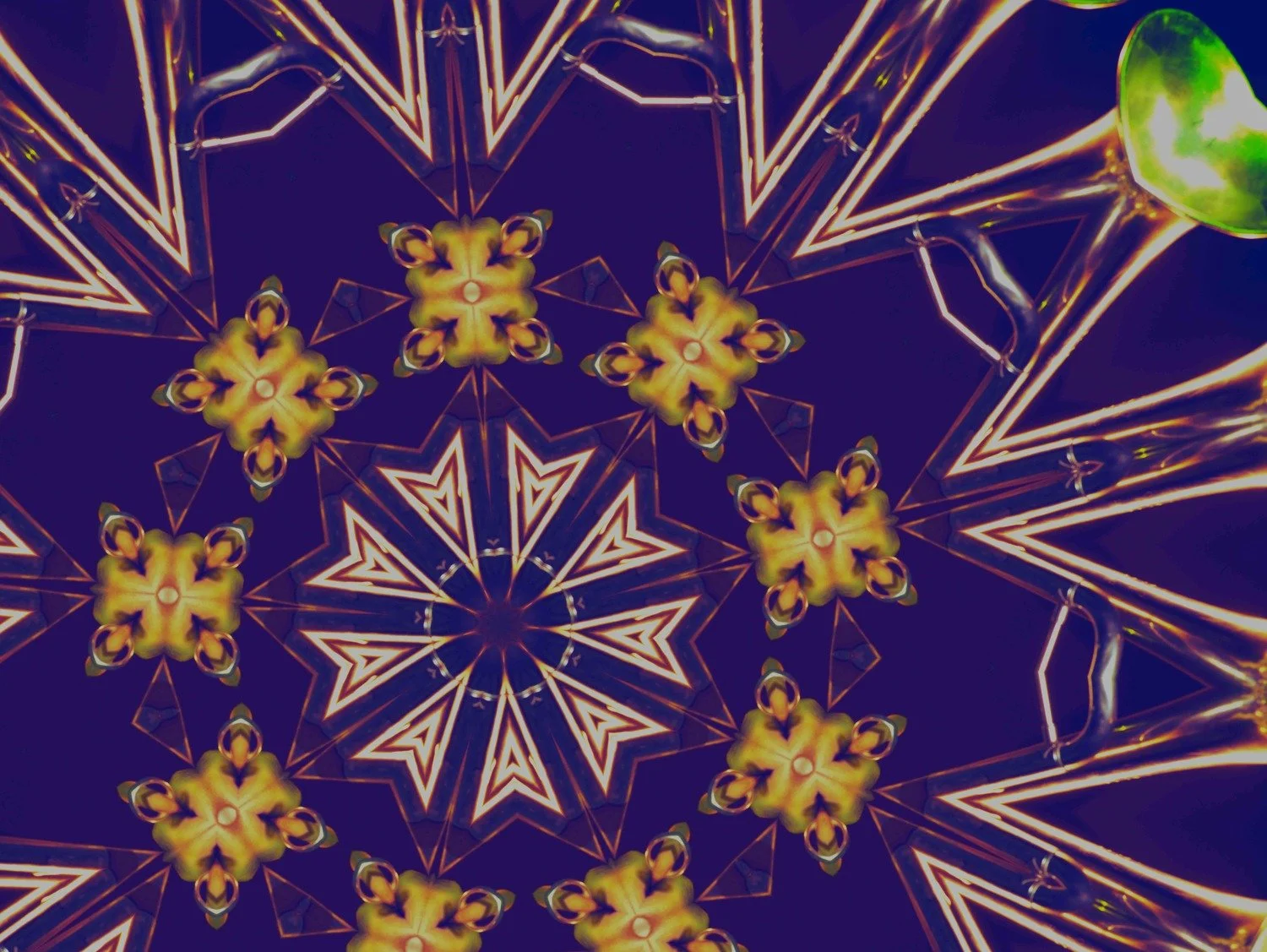 Asdsru_with_red_trumpet_kaleido_cropdarken.jpg