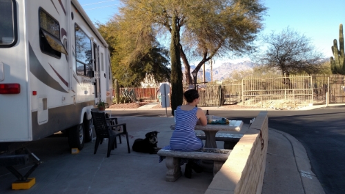 Outdoor Office + Office Assistant