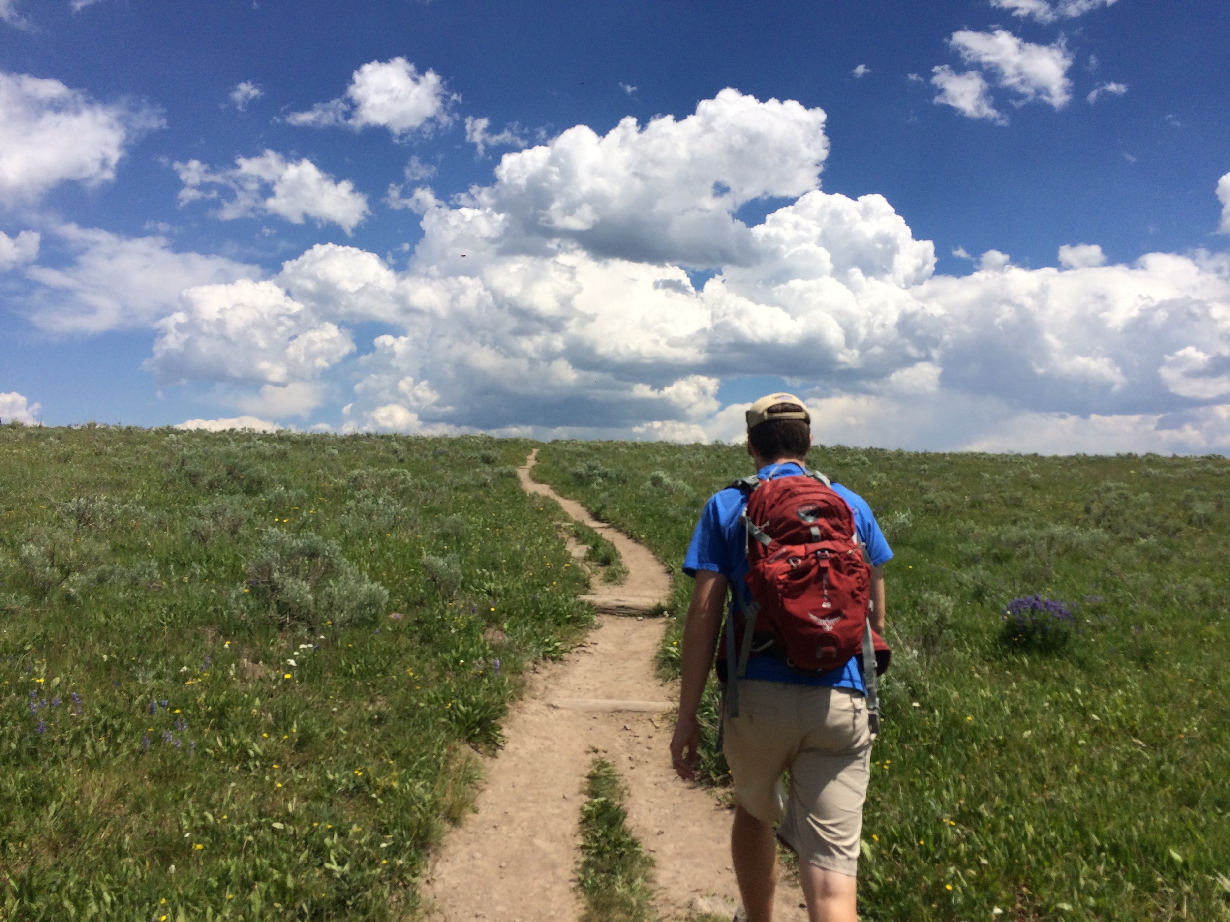 We took the scenic route to artist's point, which gave us brief moments of solitude.