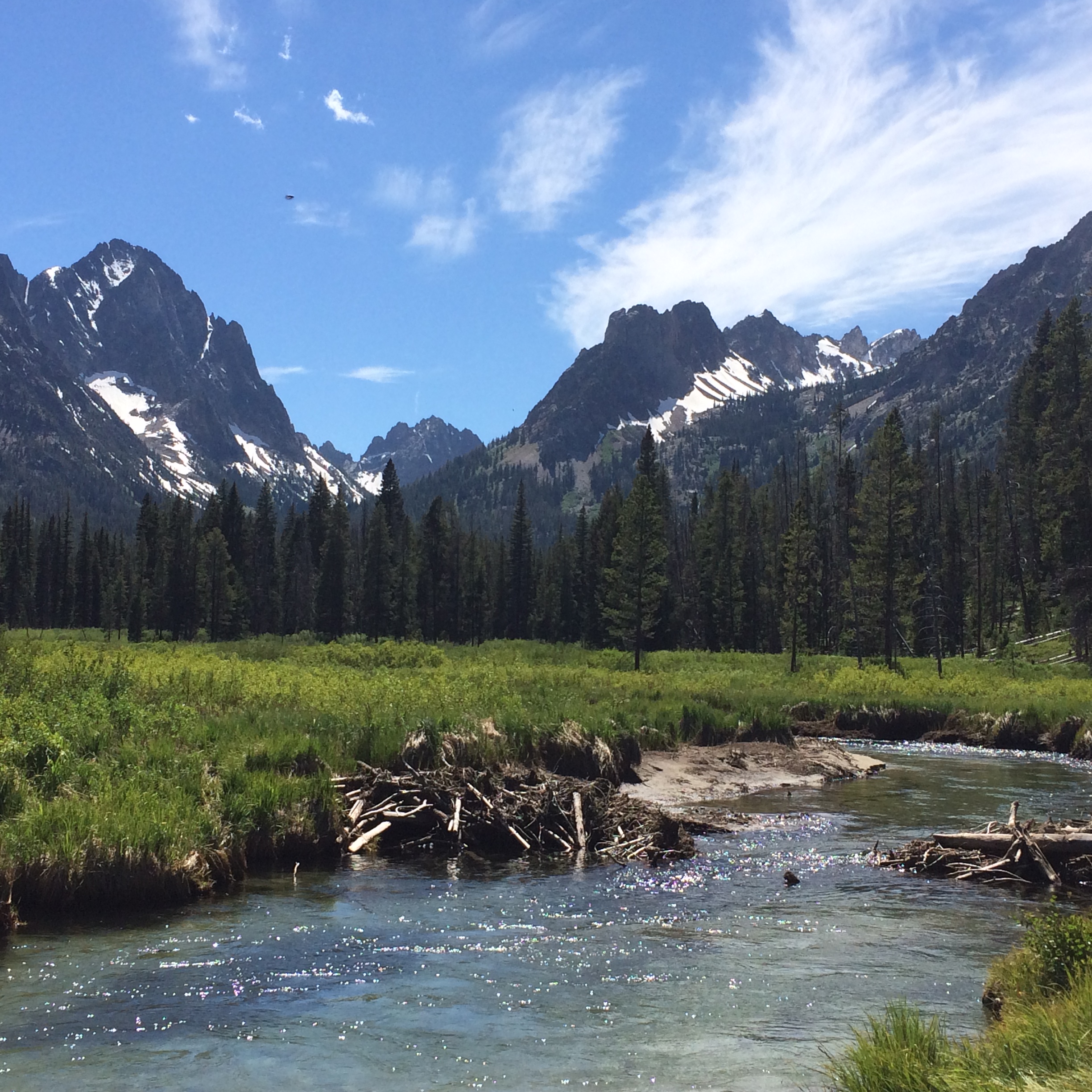 Sawtooths being beautiful
