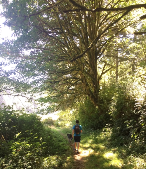 A mid-day walk, east of 101